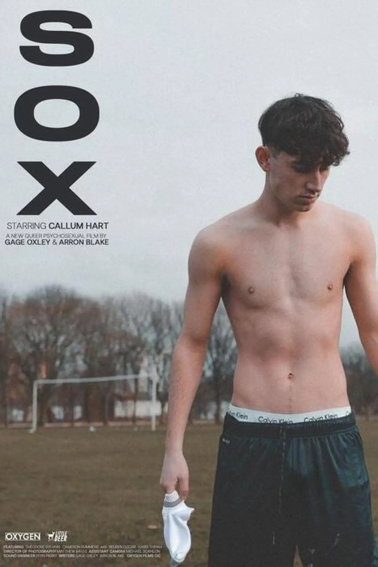 Постер до фільму "Sox"