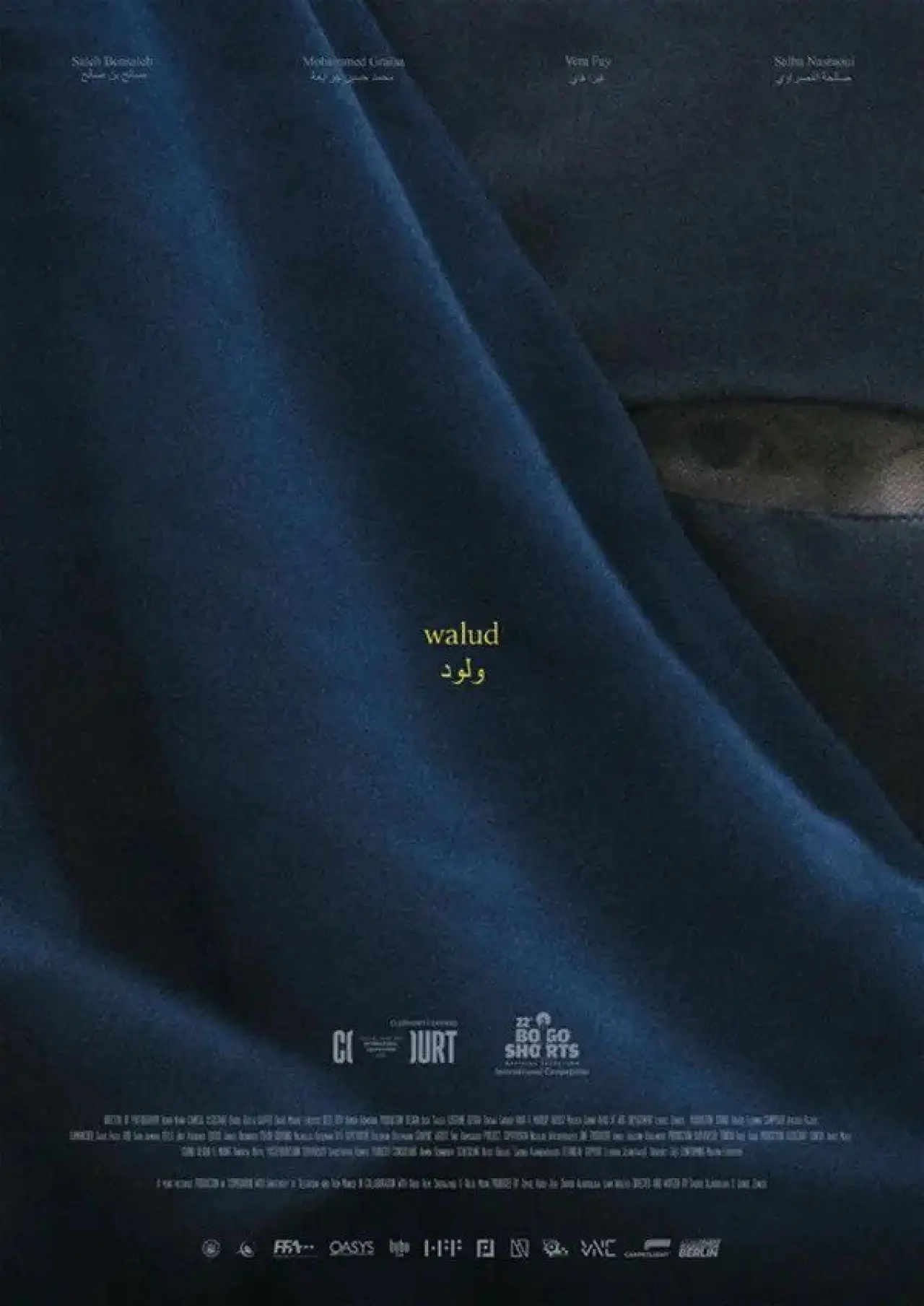 Постер до фільму "Walud"
