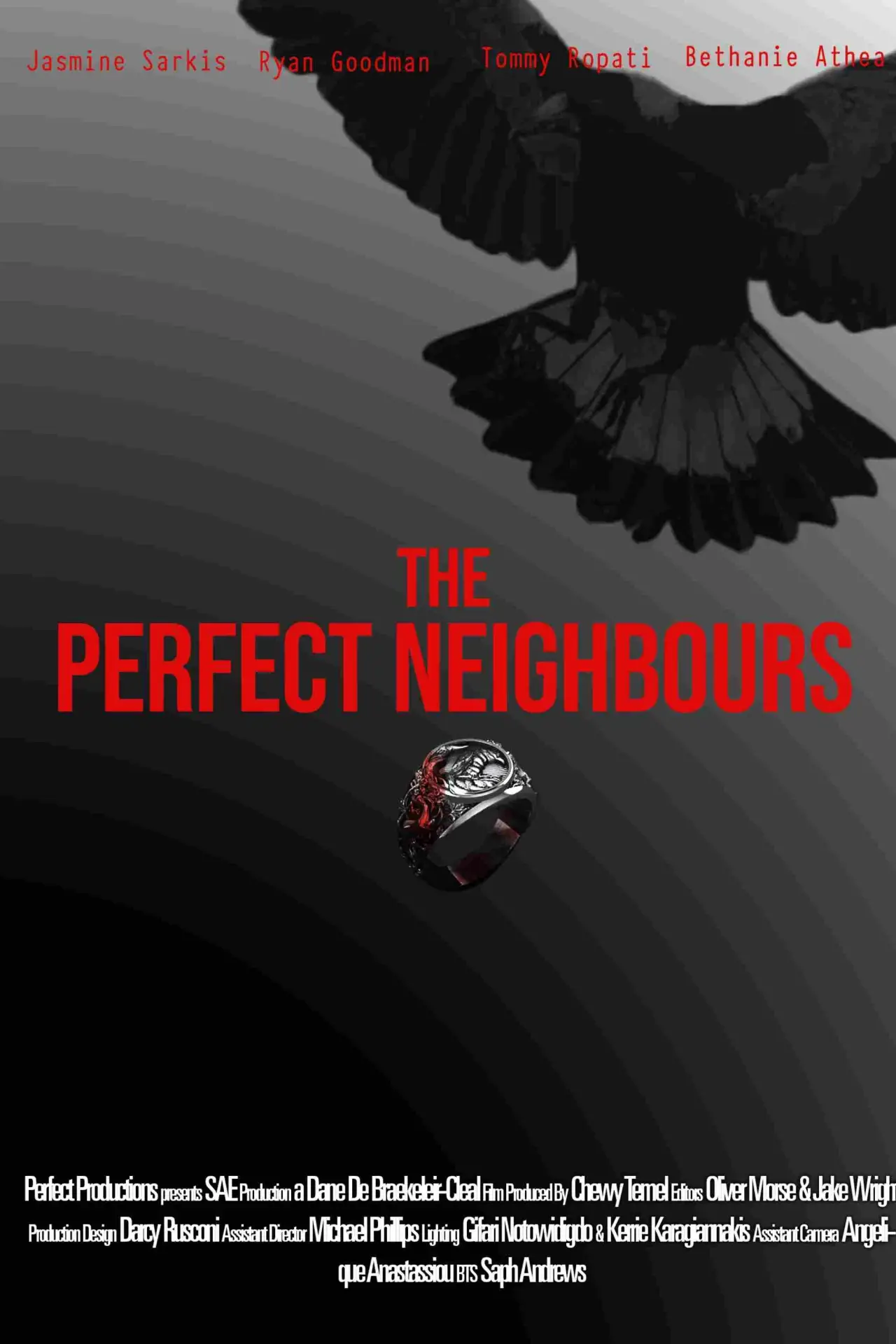 Постер до фільму "The Perfect Neighbours"
