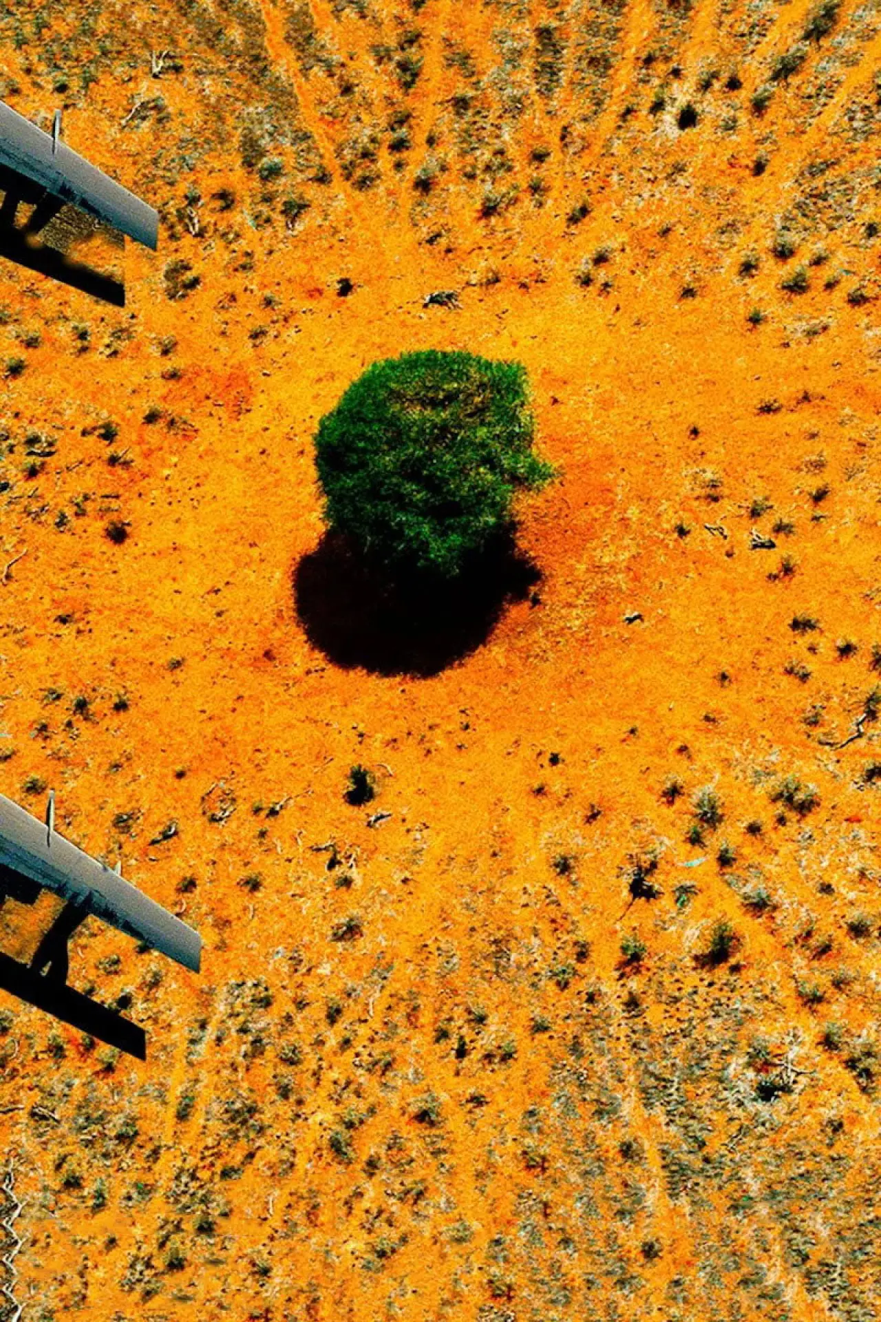 Постер до фільму "Nature : pour une réconciliation"
