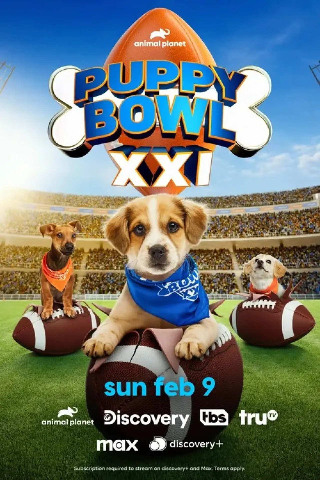 Постер до фільму "Puppy Bowl XXI"
