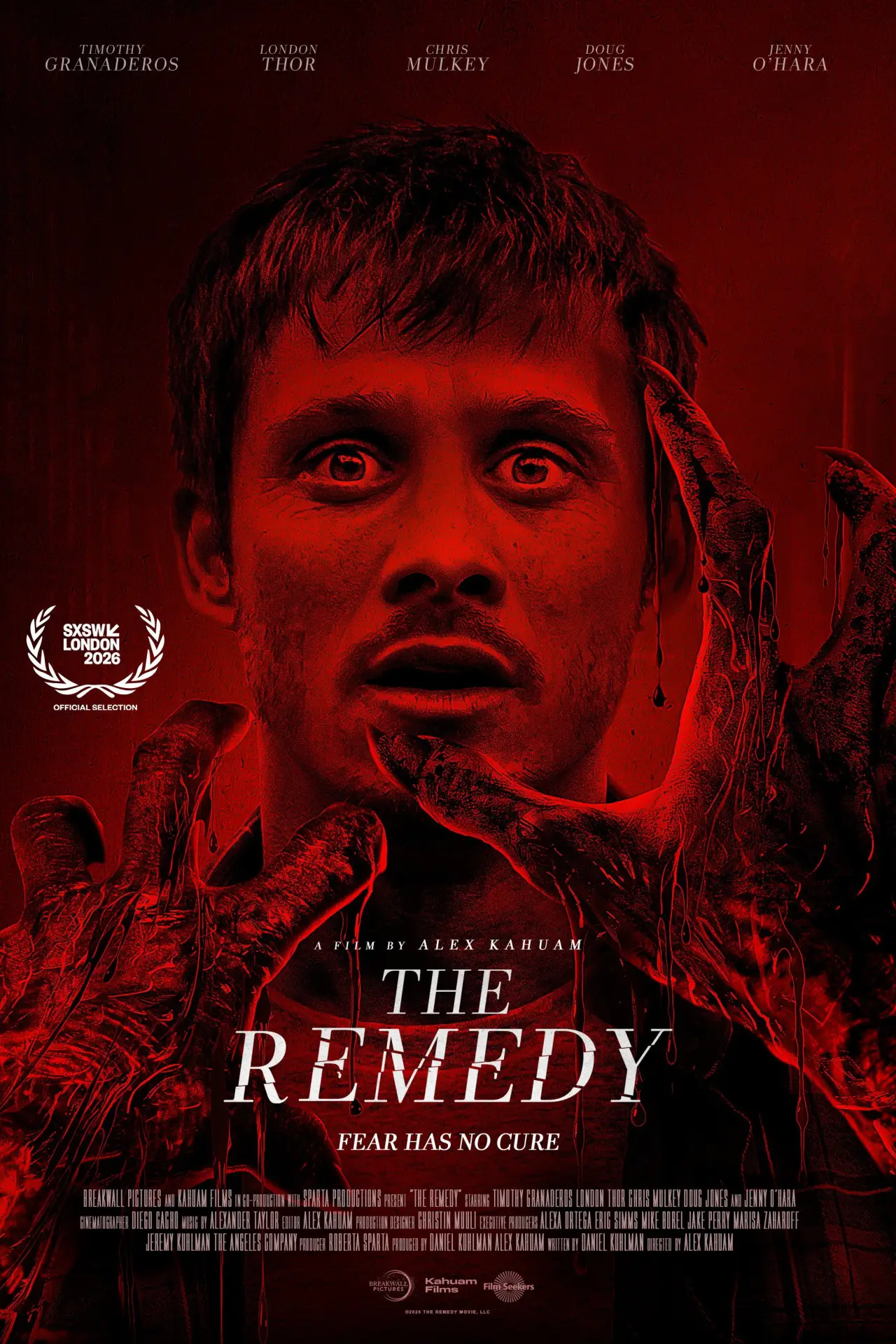 Постер до фільму "The Remedy"