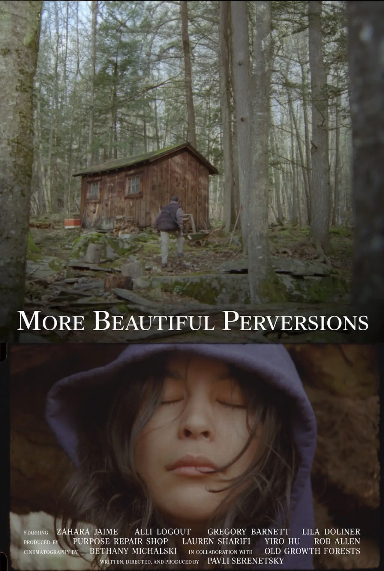Постер до фільму "More Beautiful Perversions"
