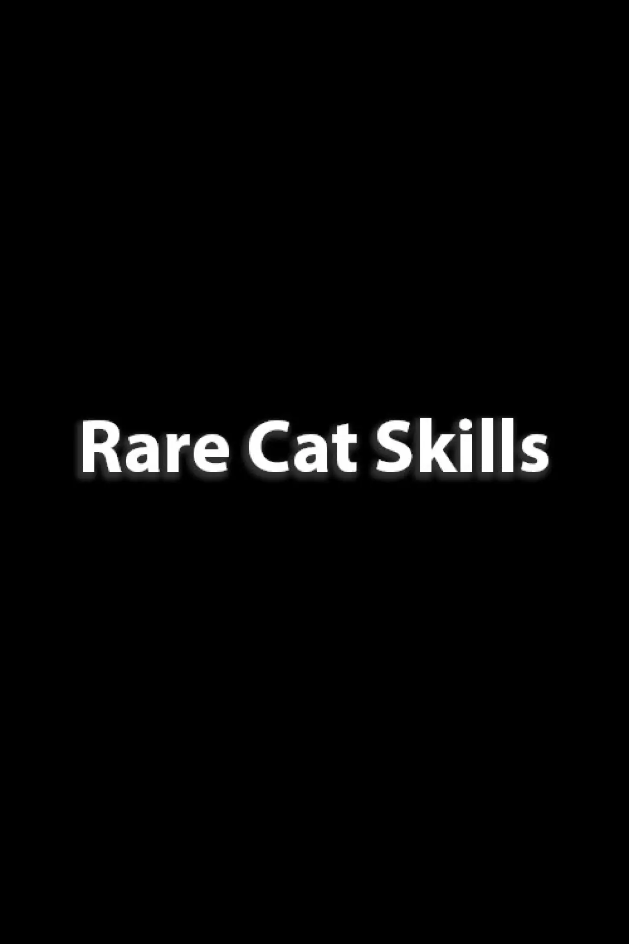 Постер до фільму "Rare Cat Skills"