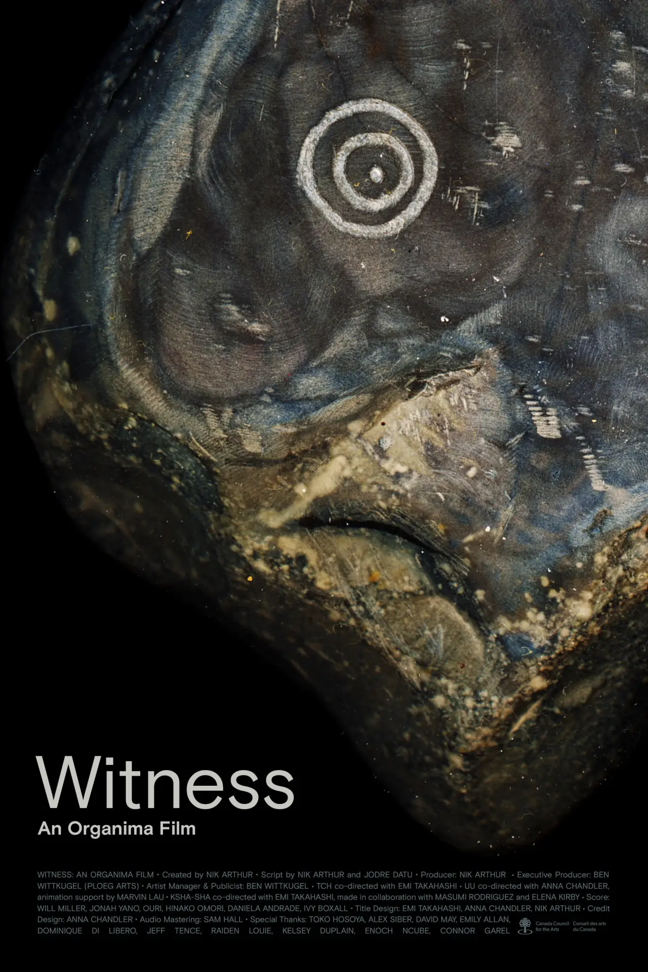 Постер до фільму "Witness: An Organima Film"