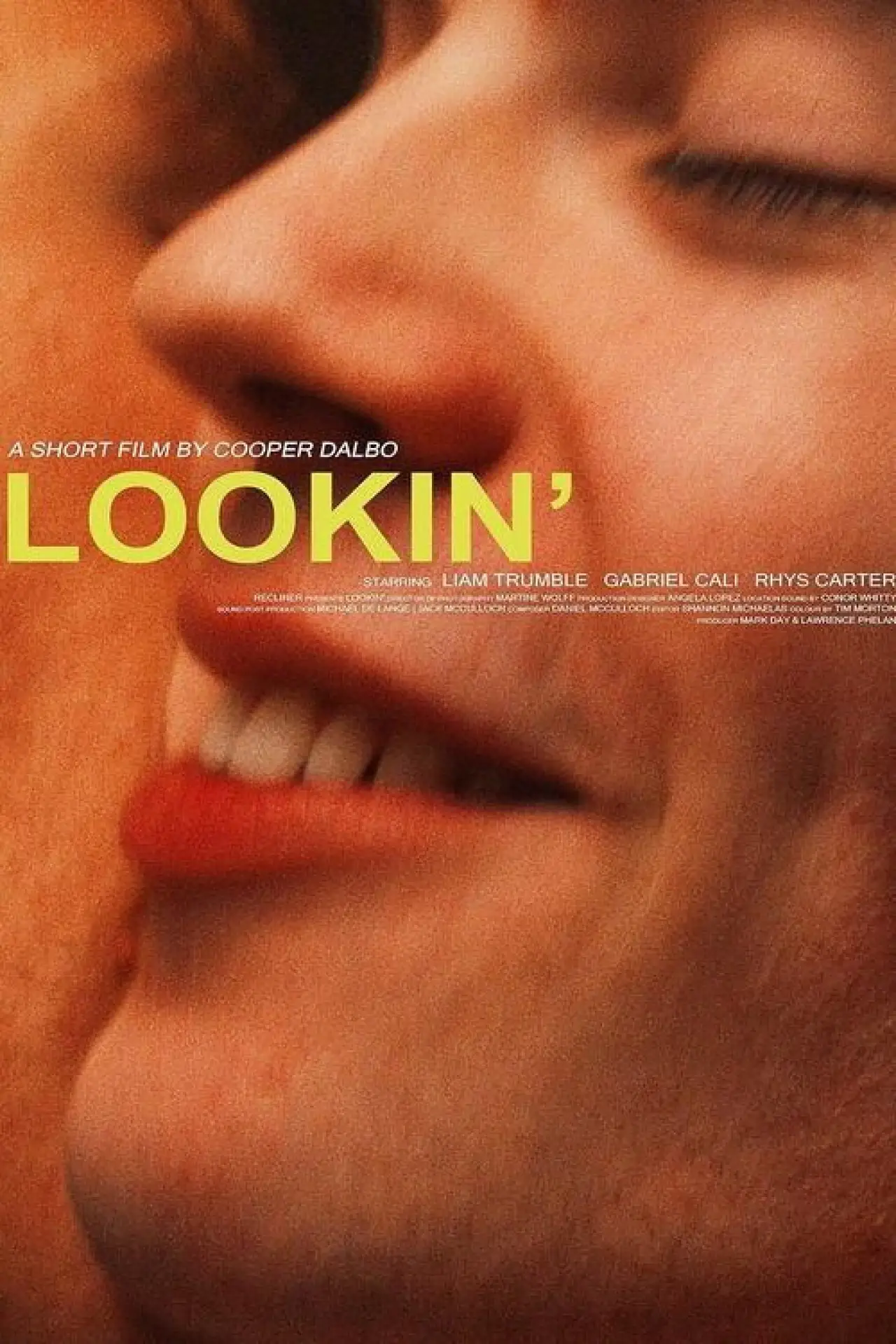 Постер до фільму "Lookin