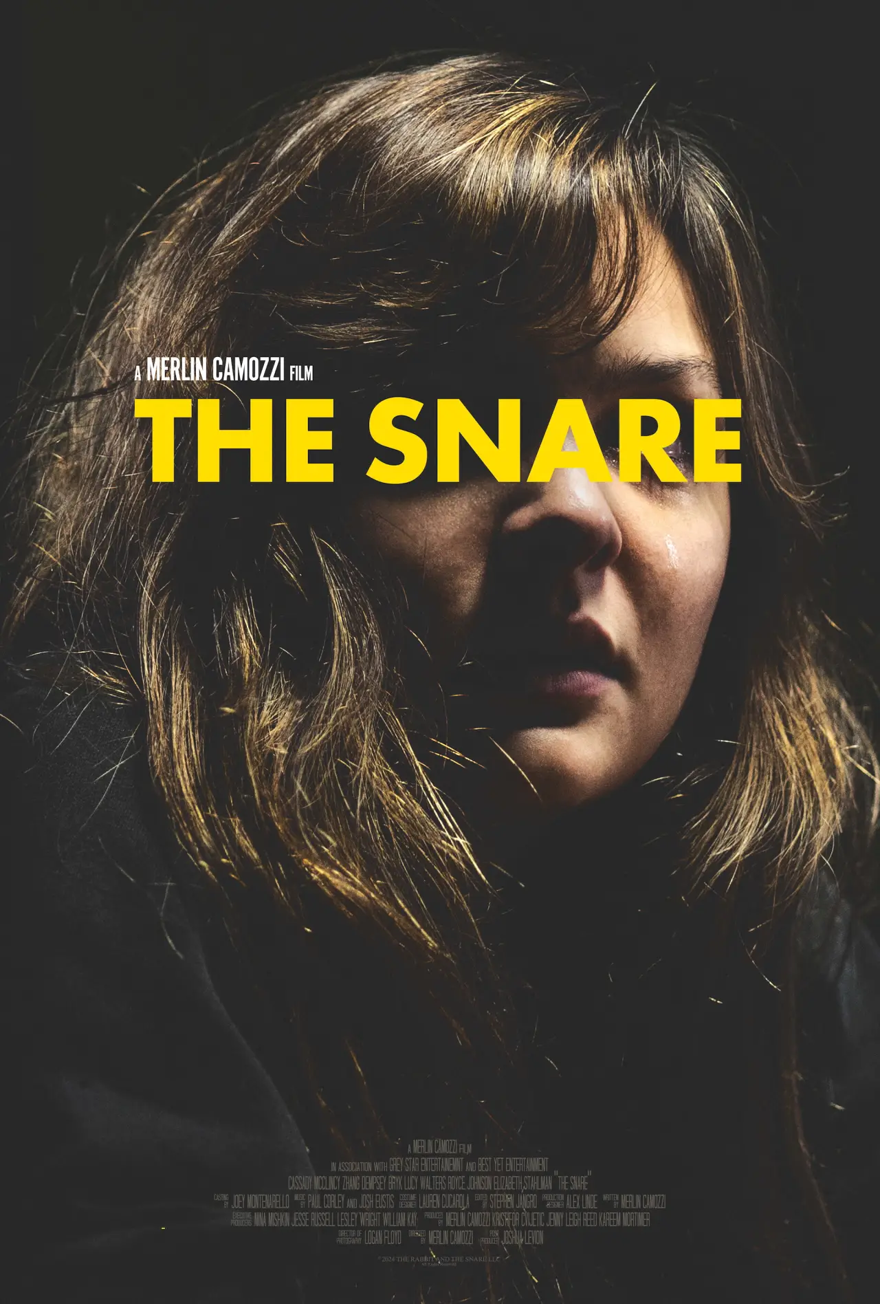 Постер до фільму "The Snare"
