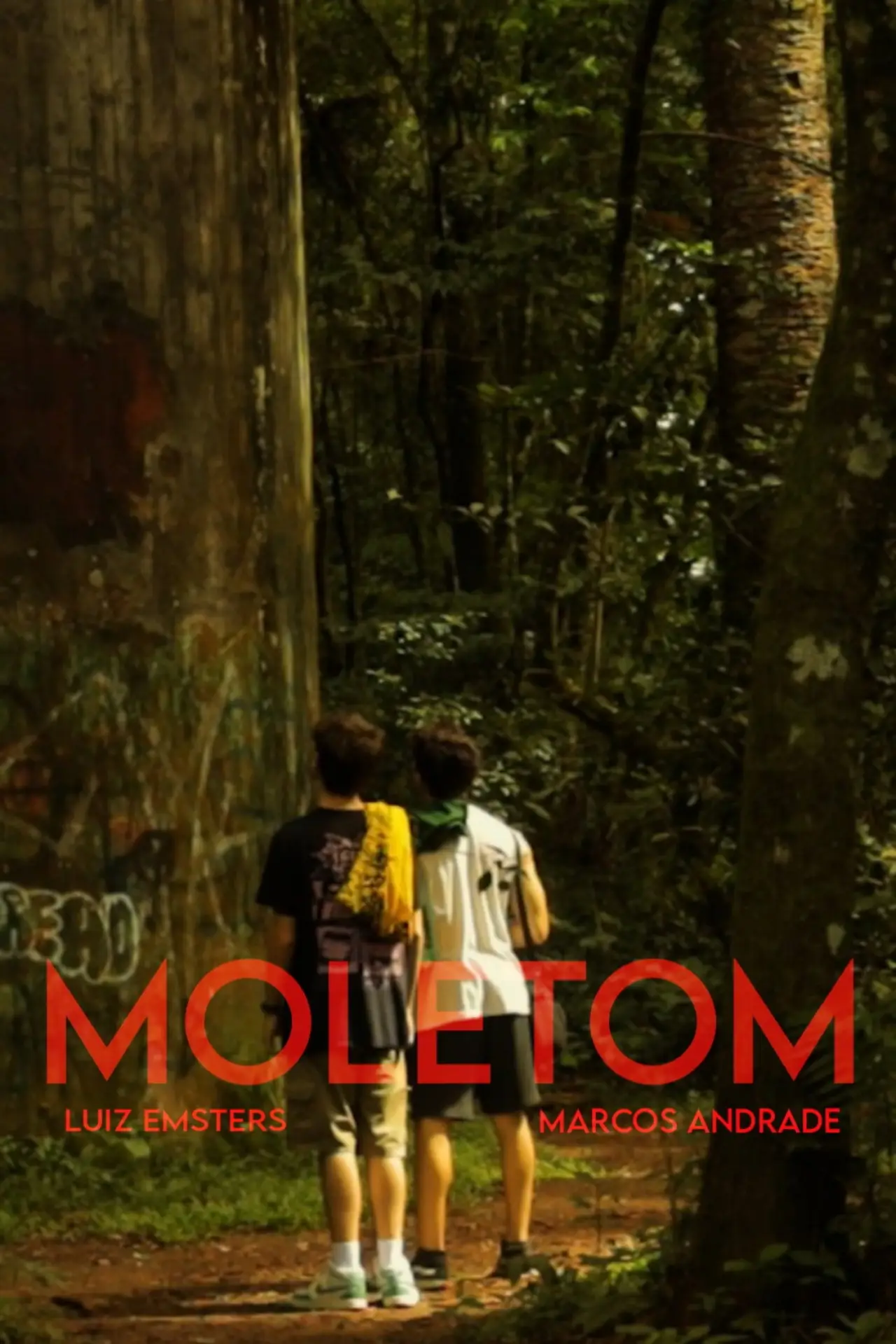 Постер до фільму "MOLETOM"