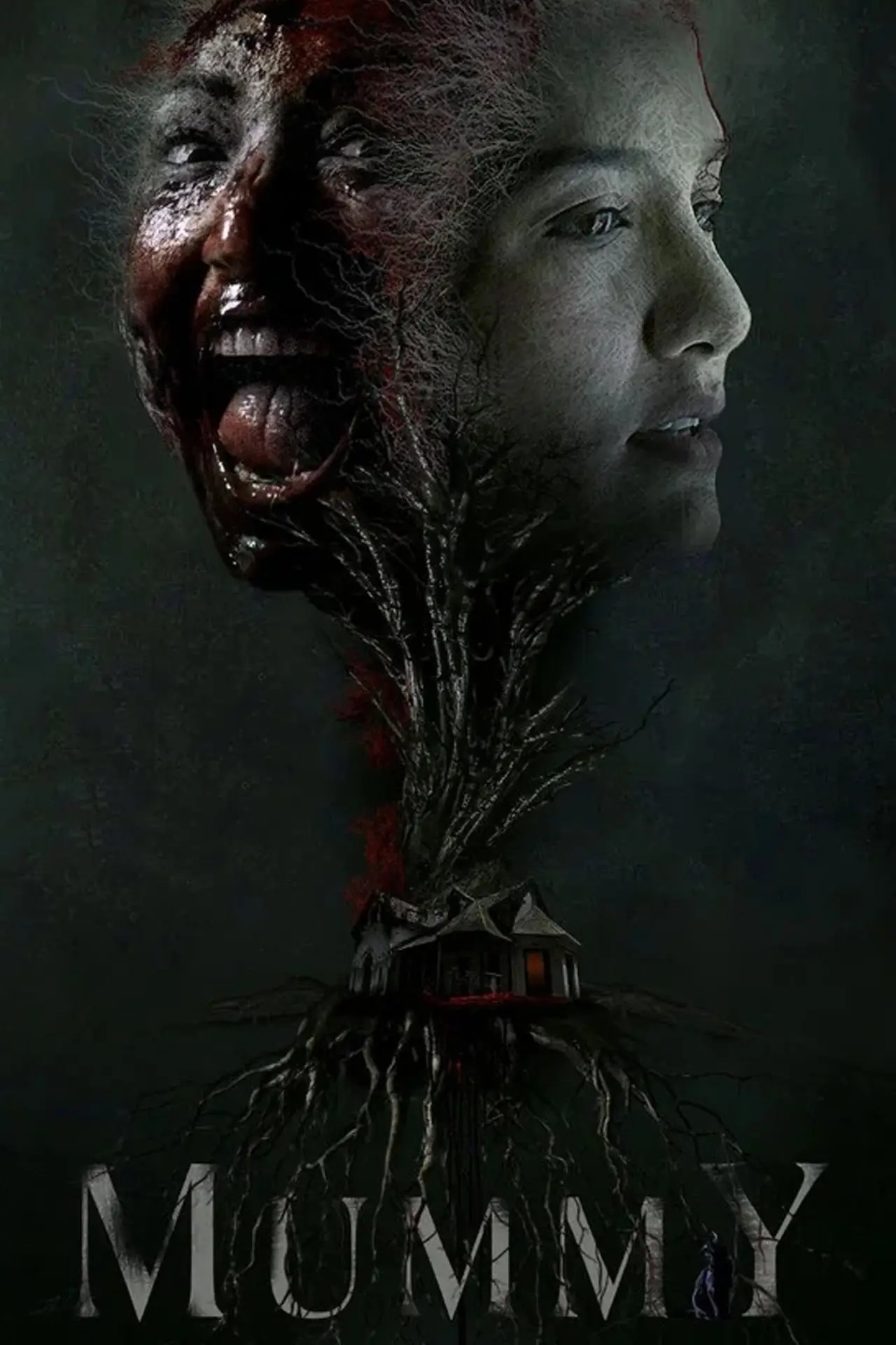 Постер до фільму "Mummy"