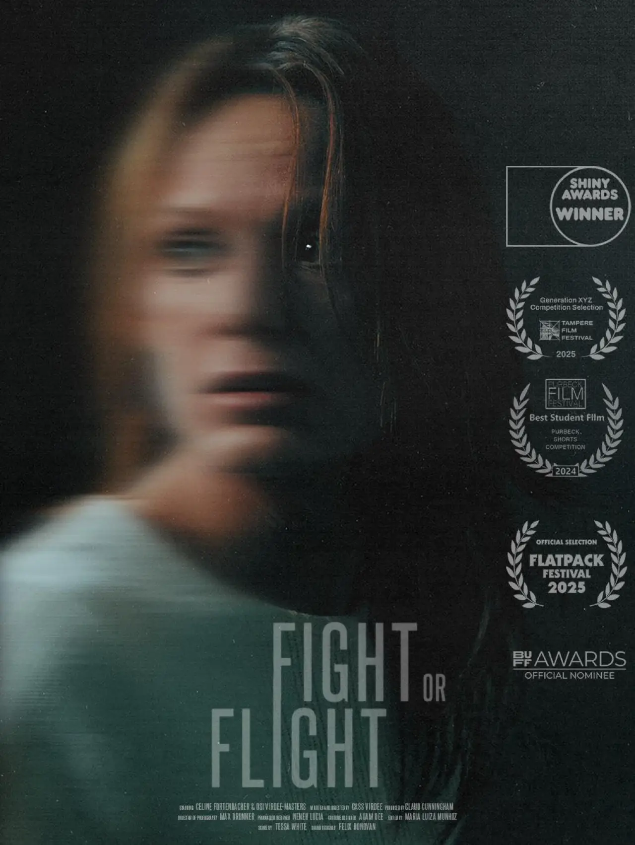 Постер до фільму "Fight or Flight"