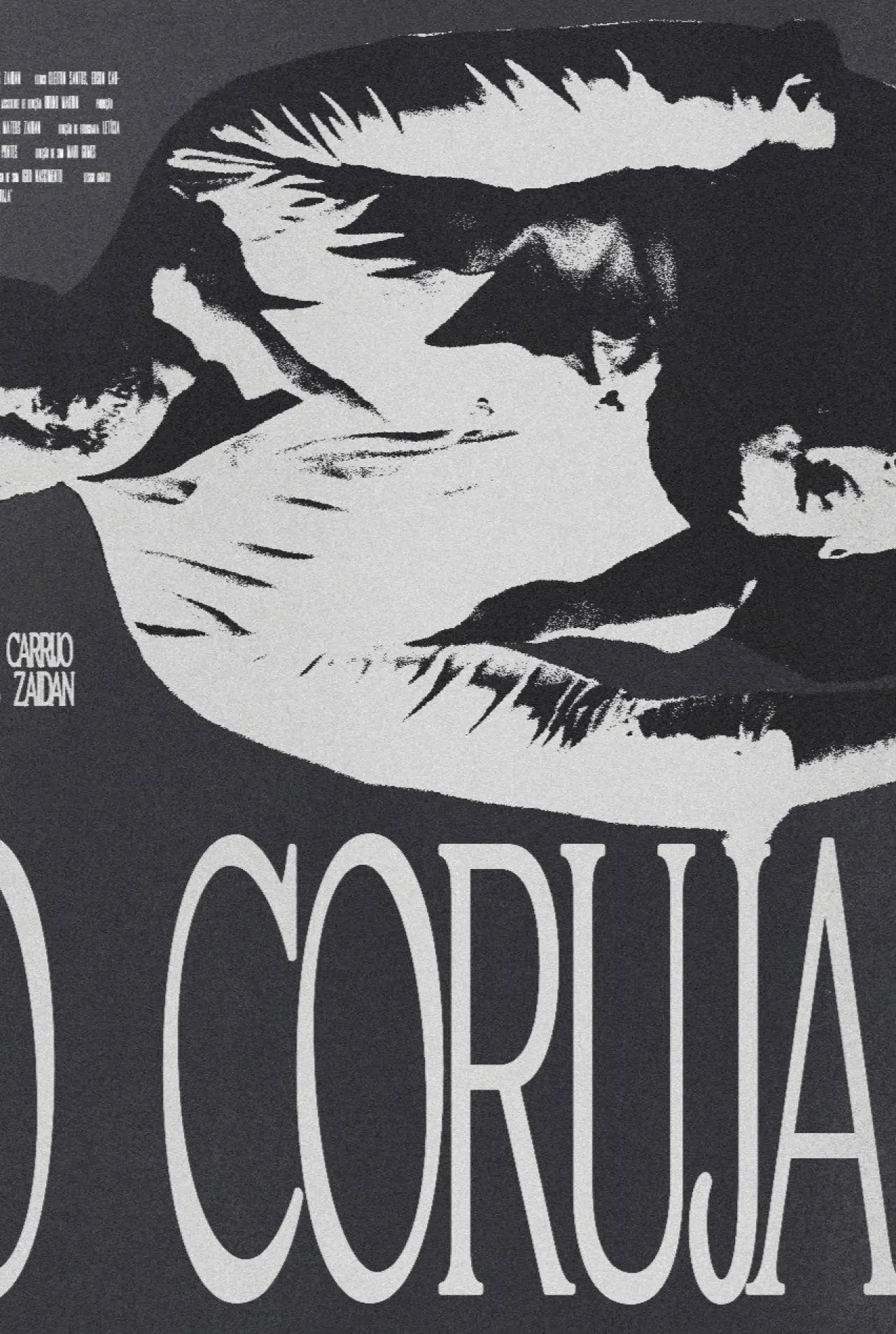 Постер до фільму "O Coruja"
