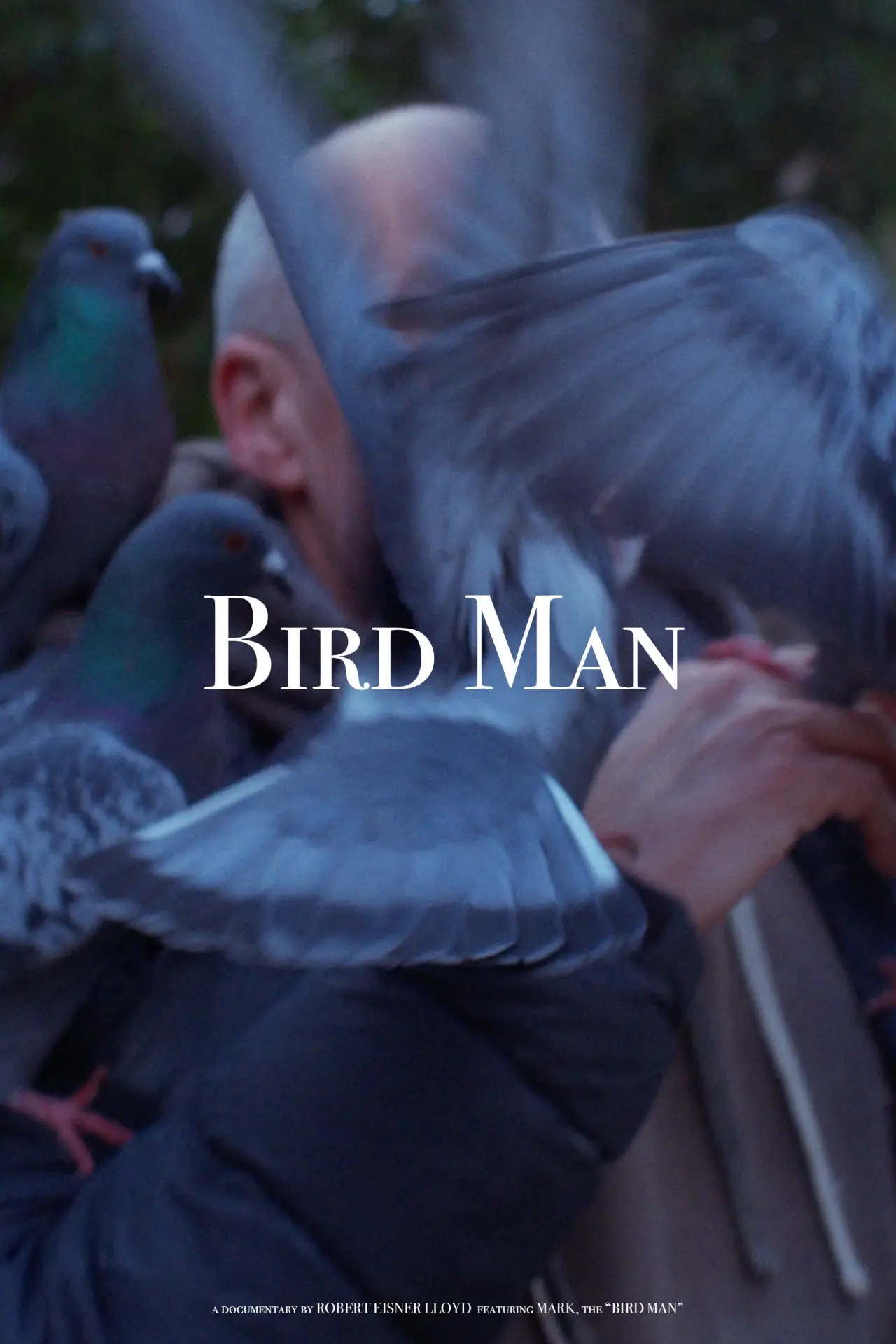 Постер до фільму "Bird Man"