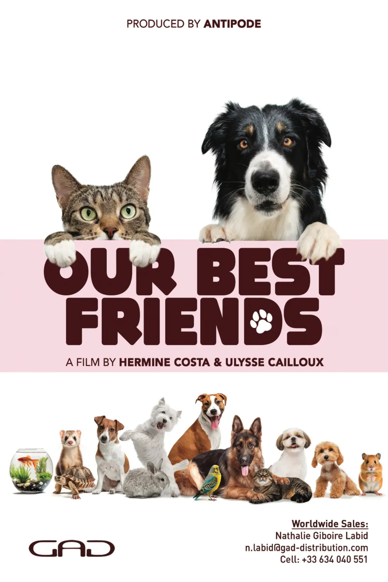 Постер до фільму "Nos très chers animaux"