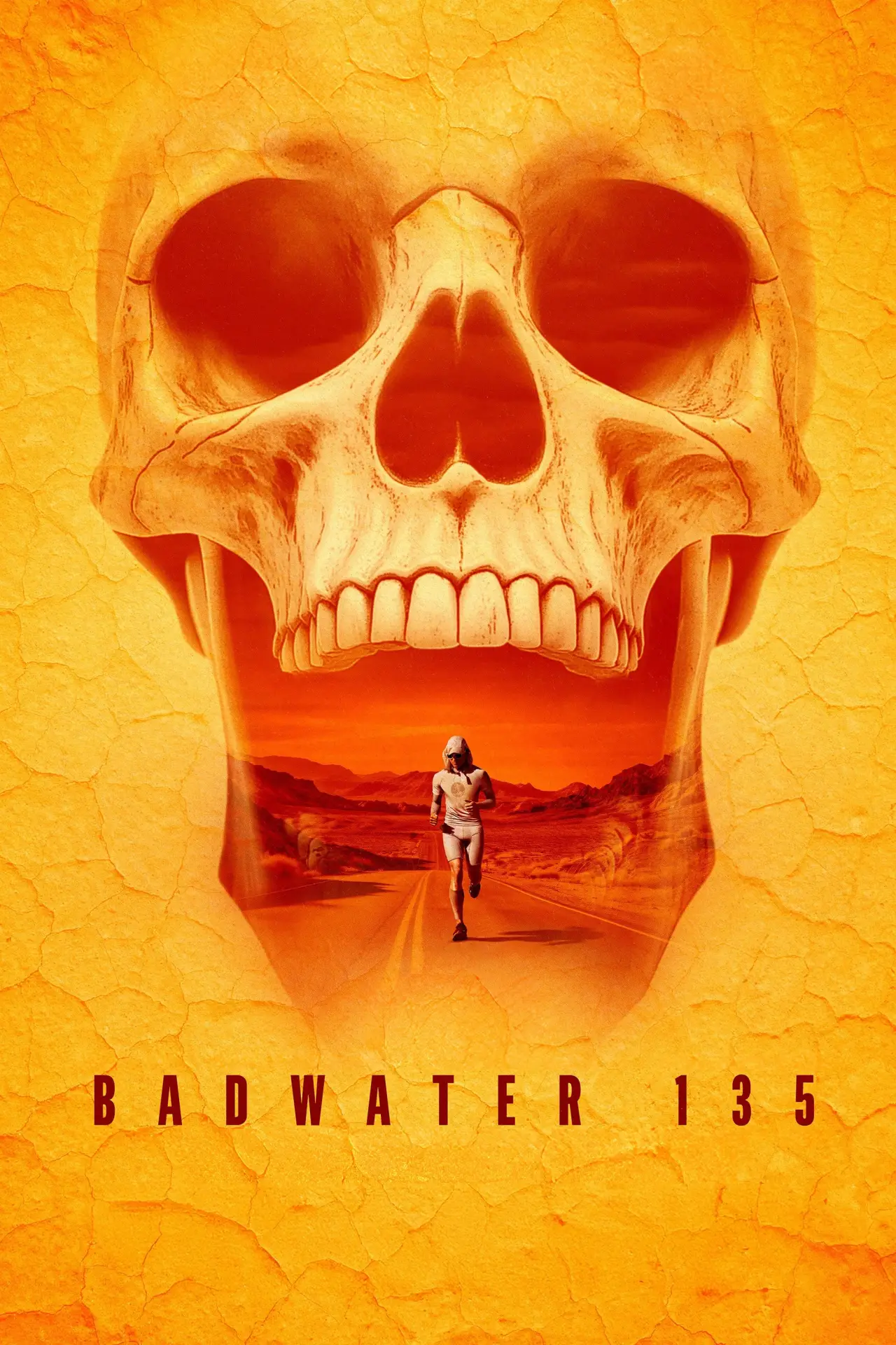 Постер до фільму "The Badwater 135: ULTRA - The Long Run"