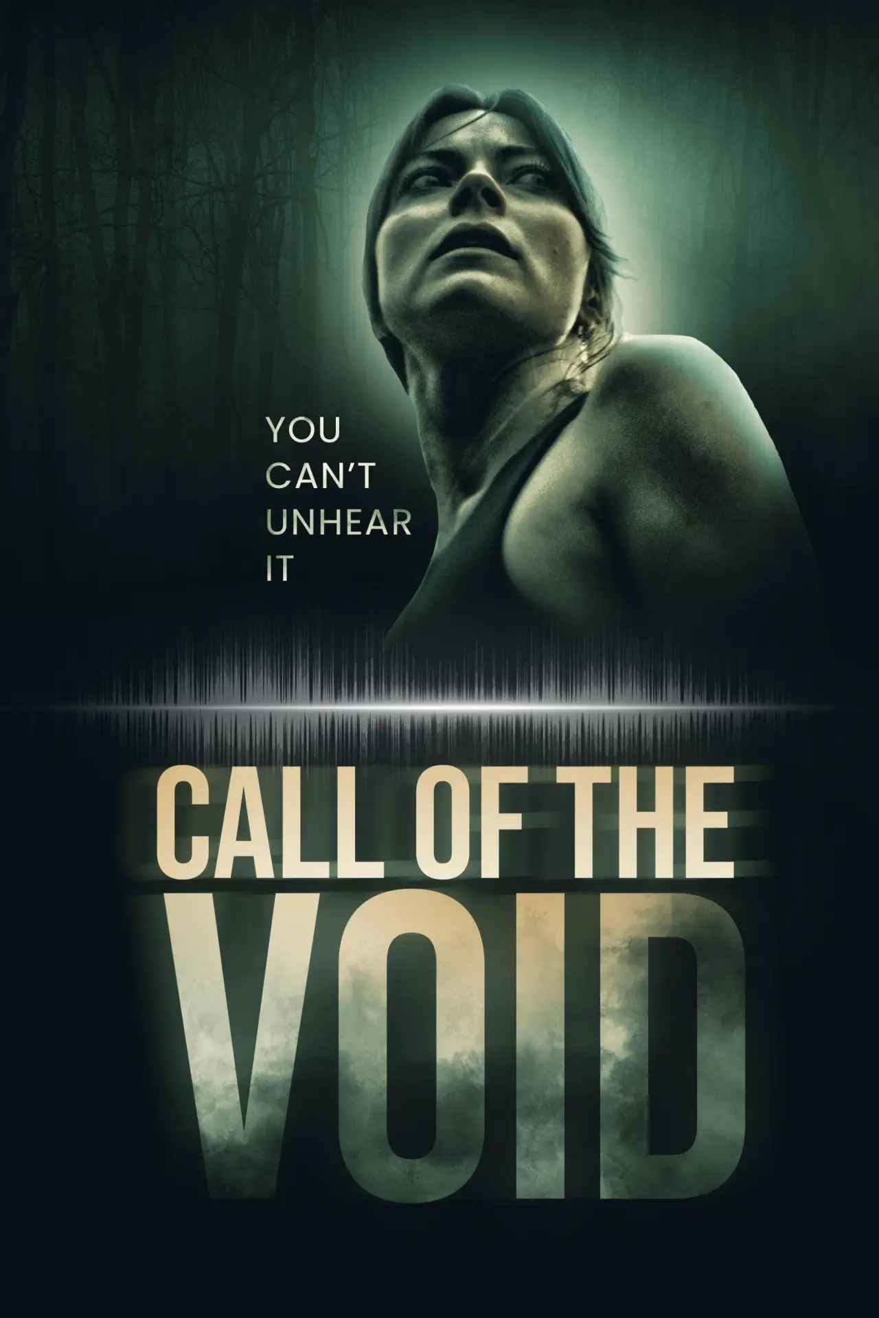 Постер до фільму "Call of the Void"