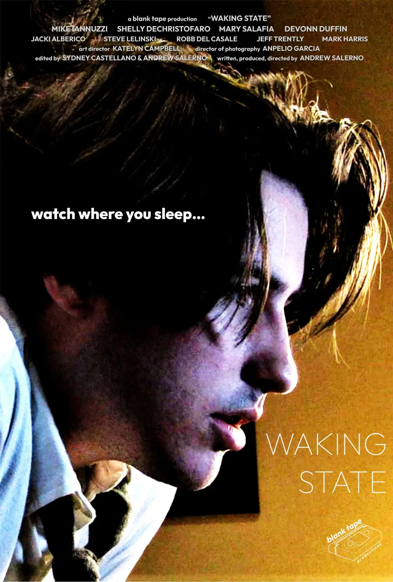 Постер до фільму "Waking State"
