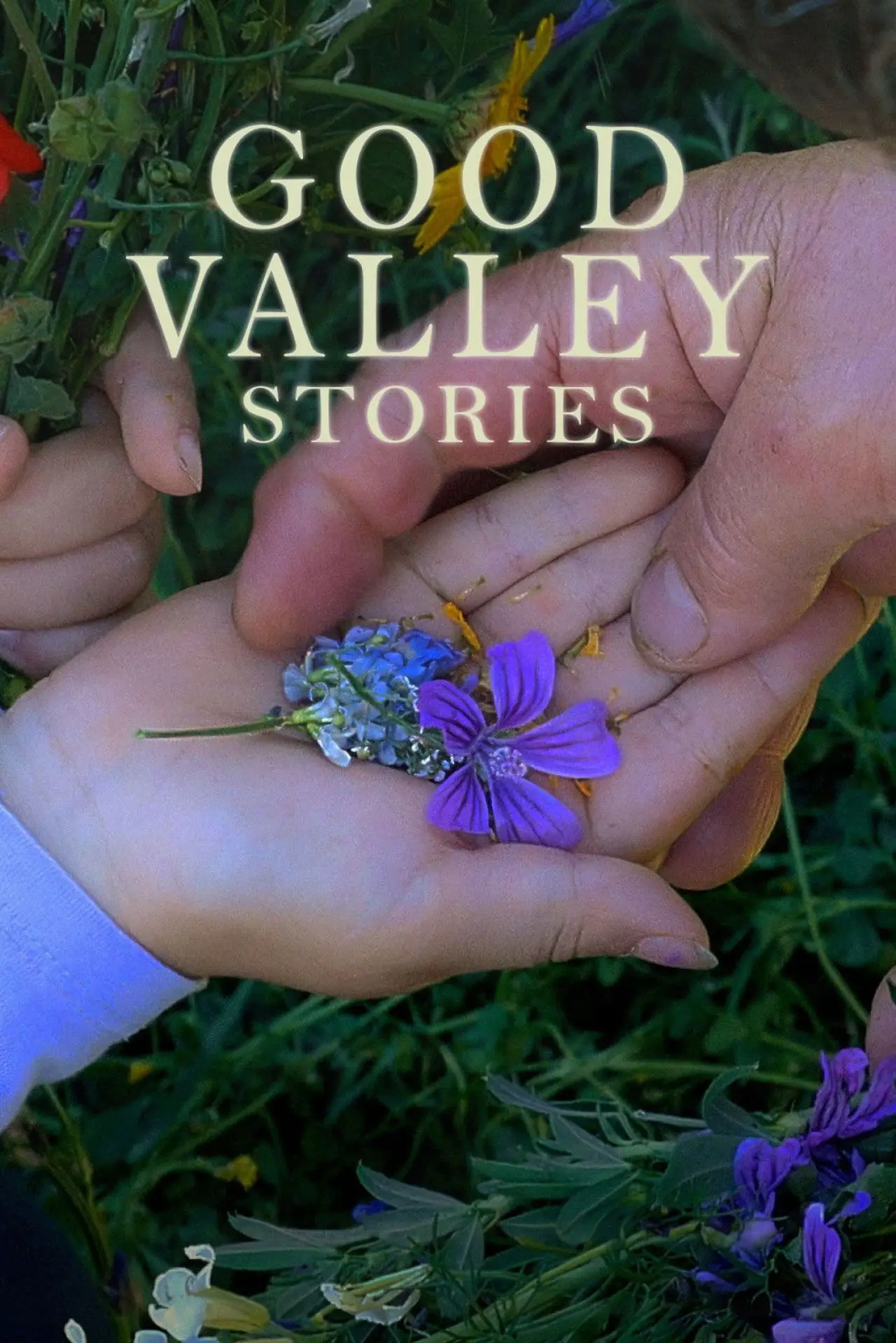 Постер до фільму "Historias del buen valle"