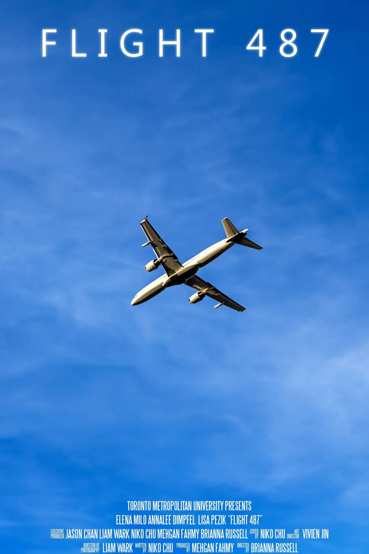 Постер до фільму "Flight 487"