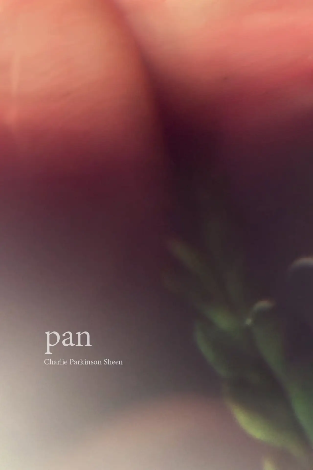 Постер до фільму "Pan"