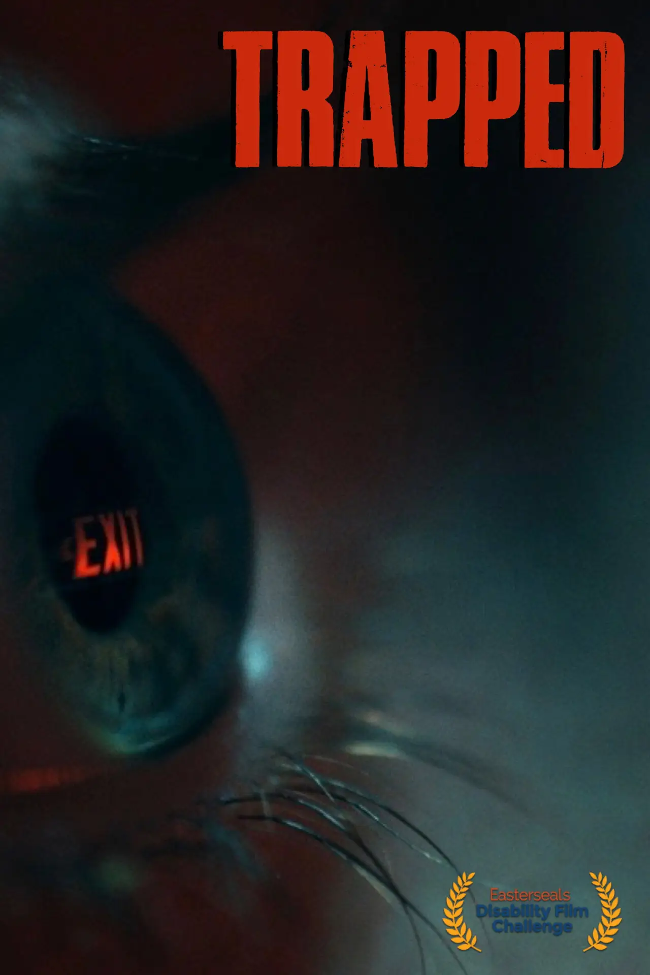 Постер до фільму "Trapped"