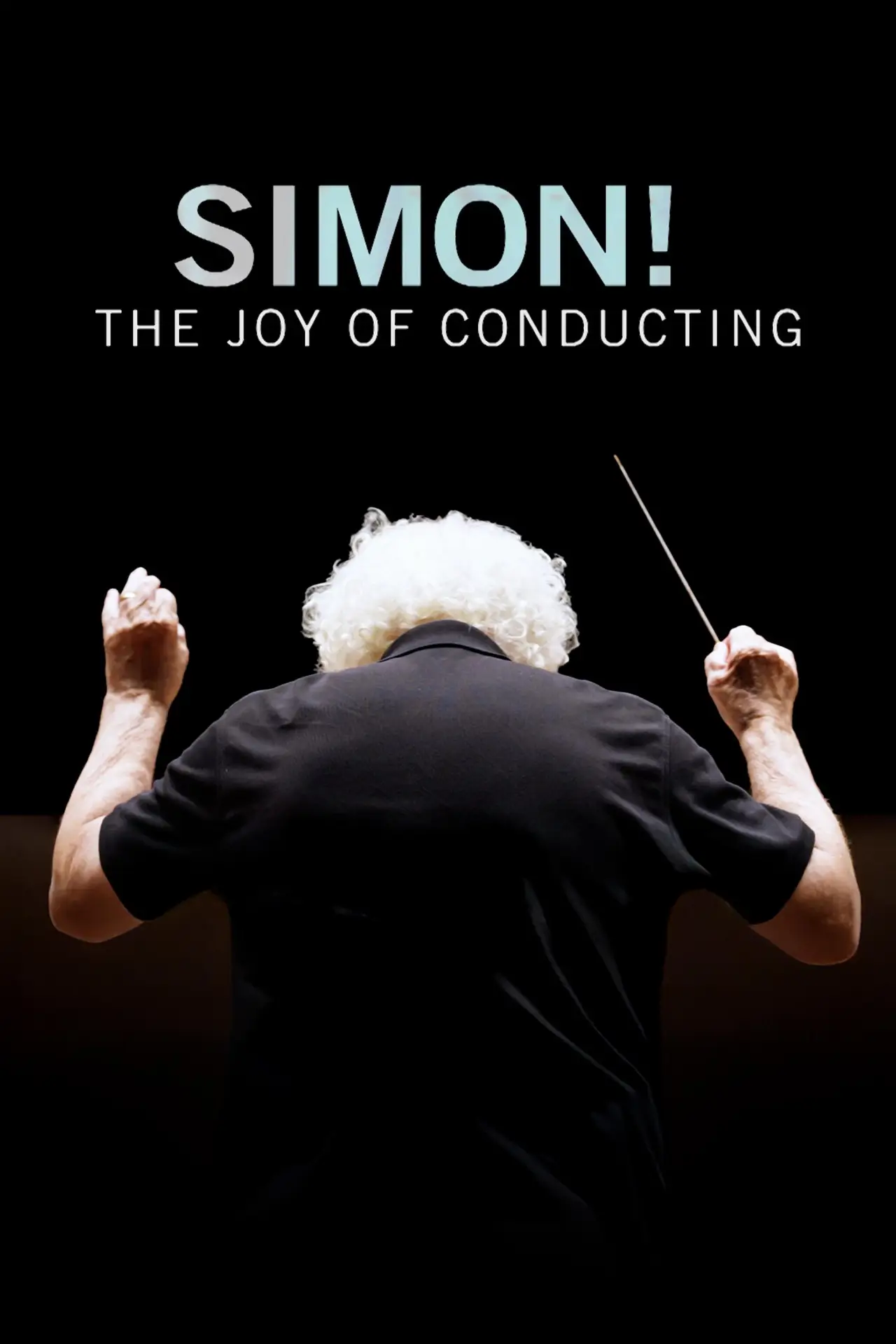 Постер до фільму "Simon Rattle - Vom Glück des Dirigierens"