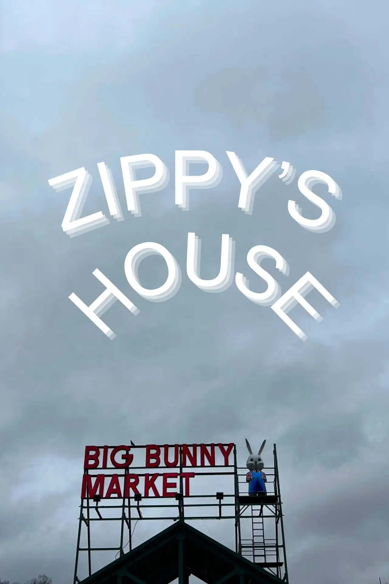 Постер до фільму "Zippy