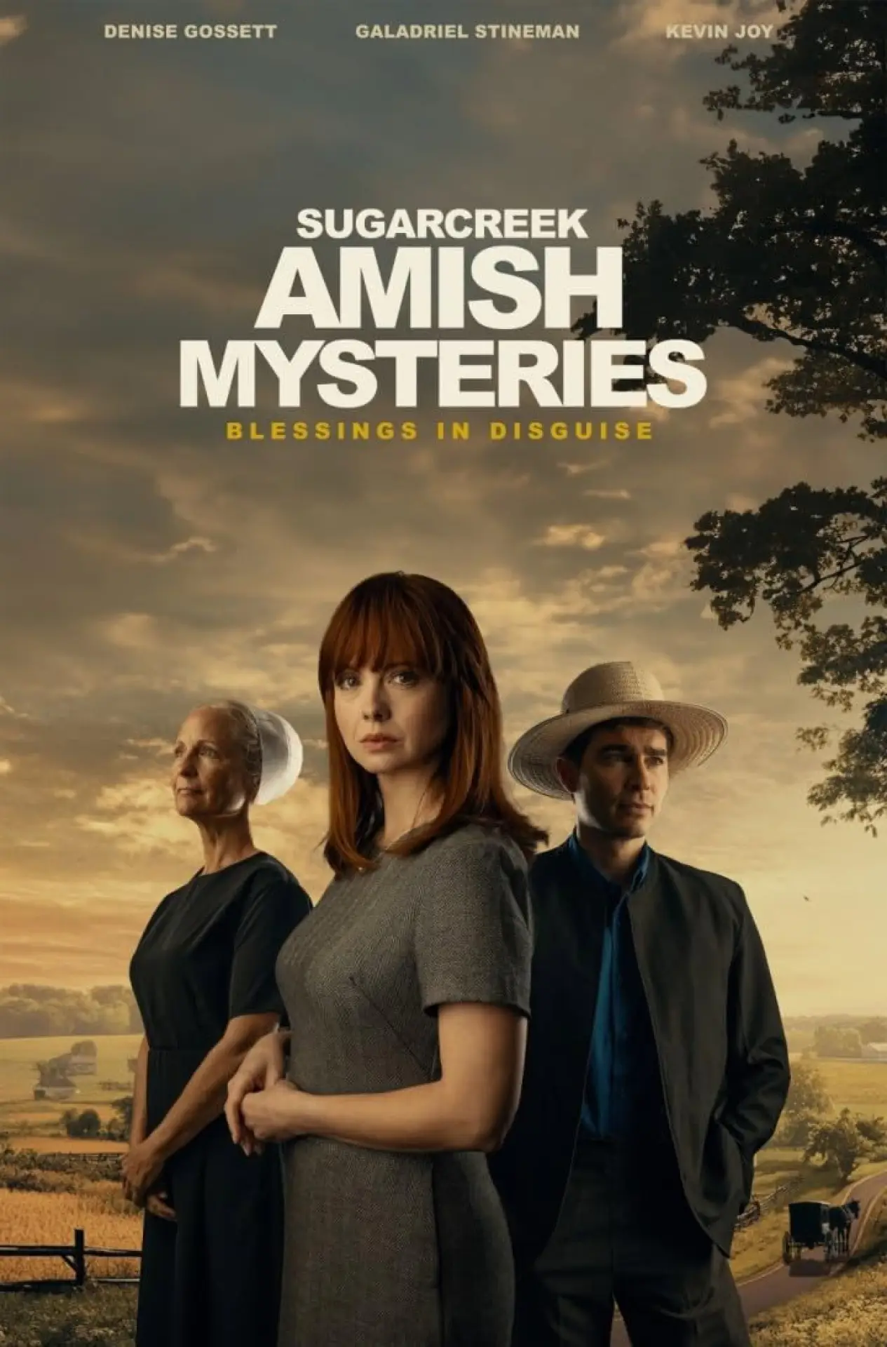 Постер до фільму "Sugarcreek Amish Mysteries: Blessings in Disguise"