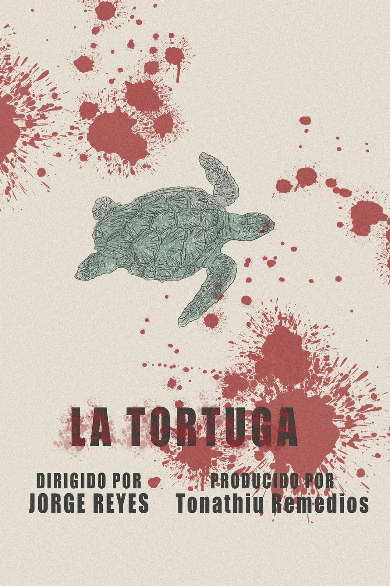 Постер до фільму "La Tortuga"