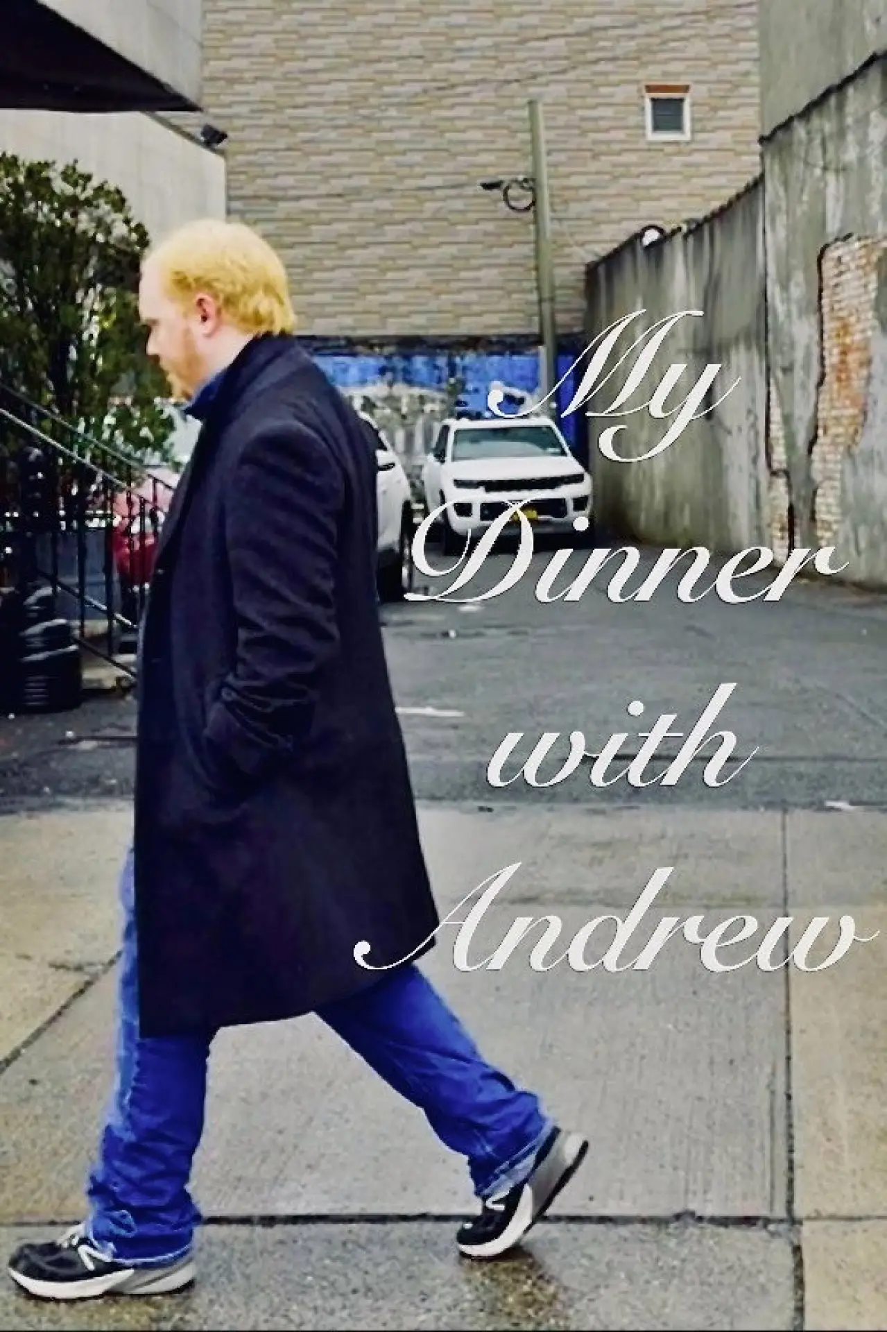 Постер до фільму "My Dinner with Andrew"