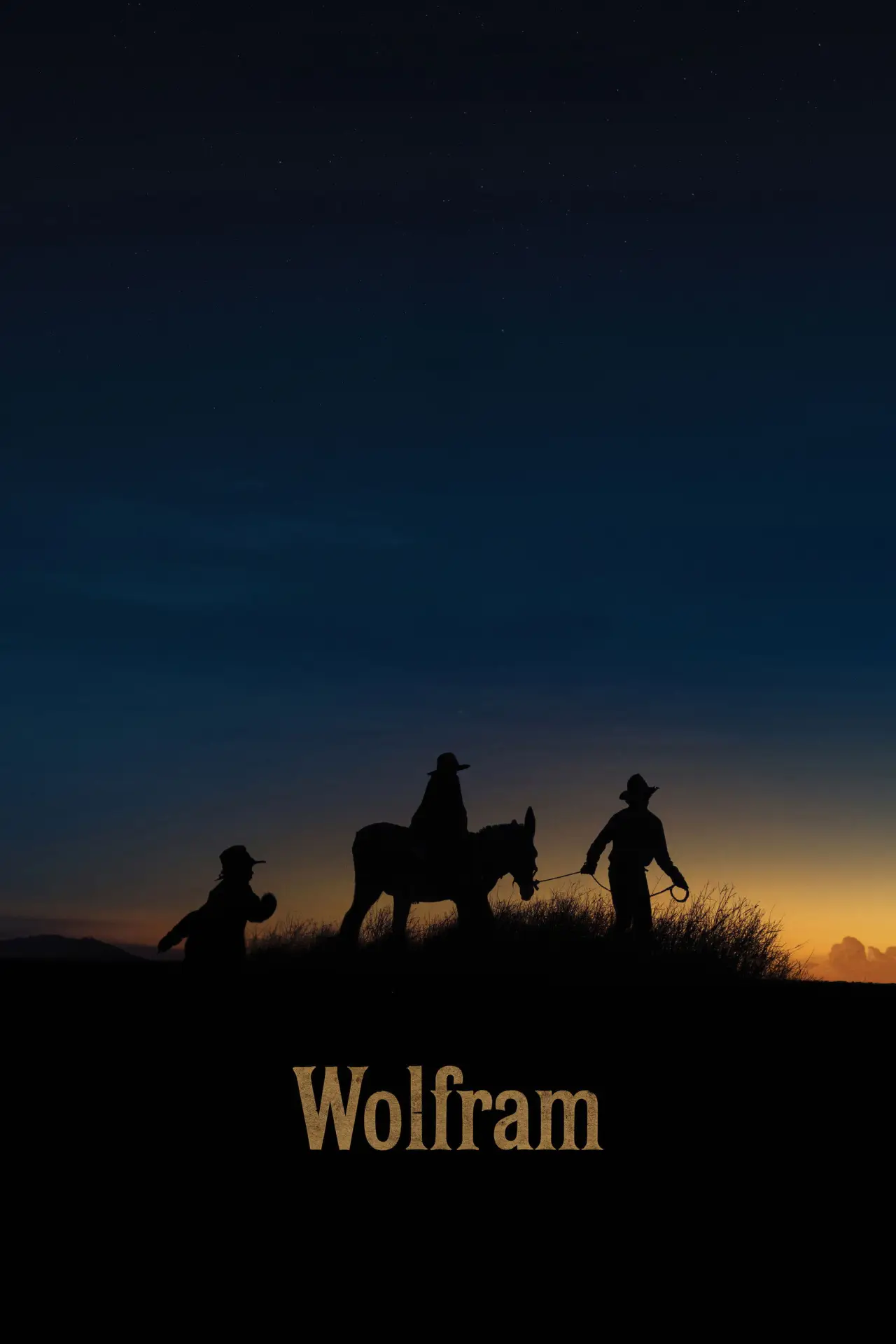 Постер до фільму "Wolfram"