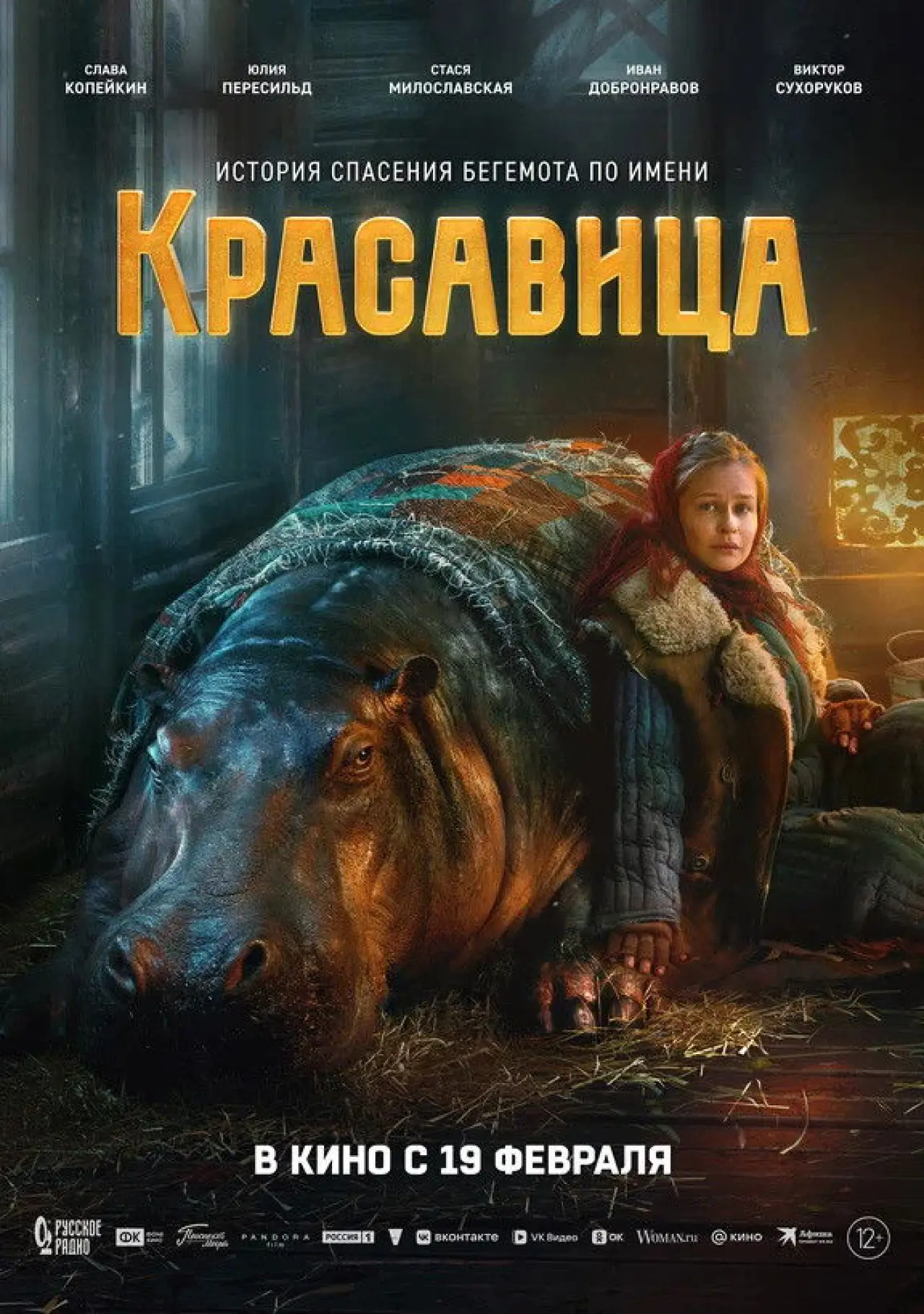 Постер до фільму "Красавица"