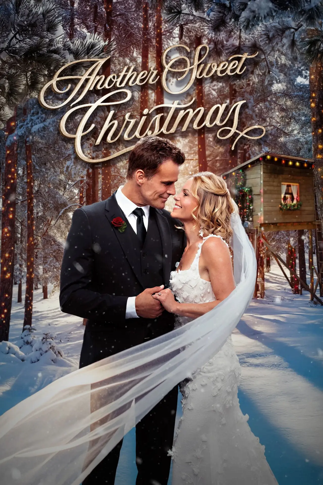 Постер до фільму "Another Sweet Christmas"