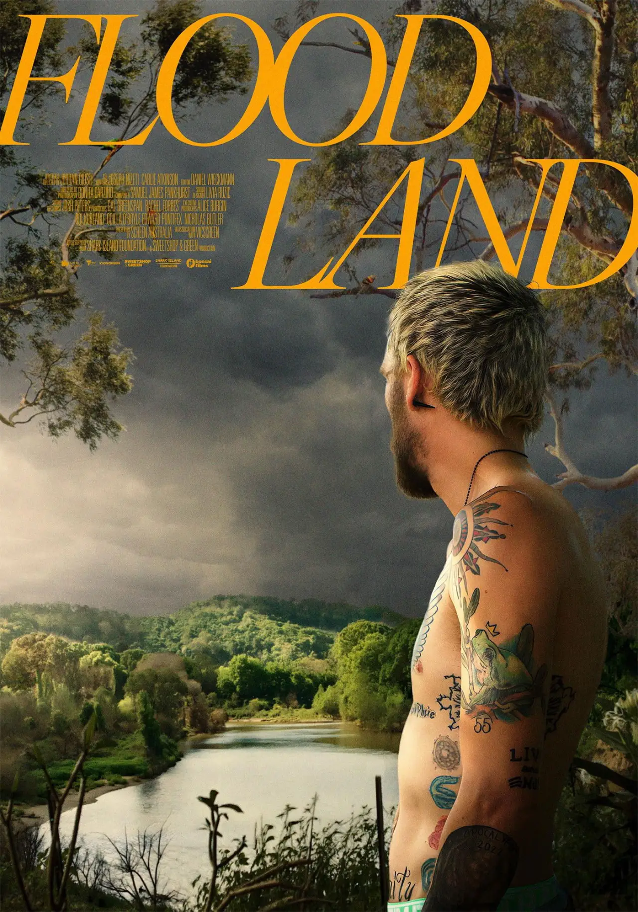 Постер до фільму "Floodland"