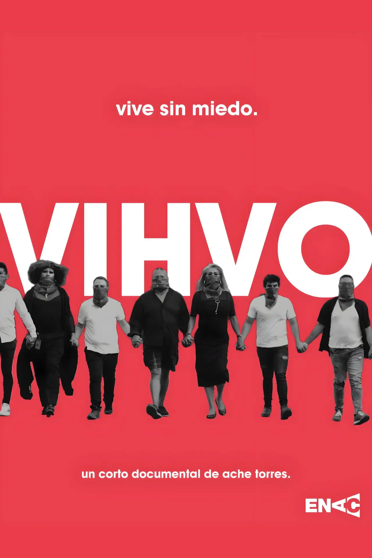 Постер до фільму "VIHVO"