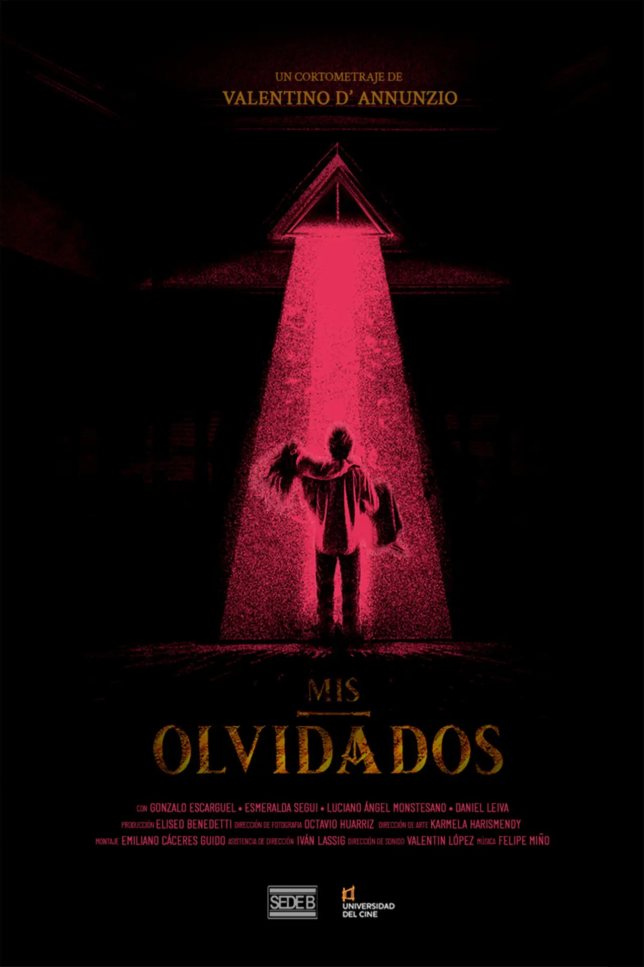 Постер до фільму "Mis Olvidados"