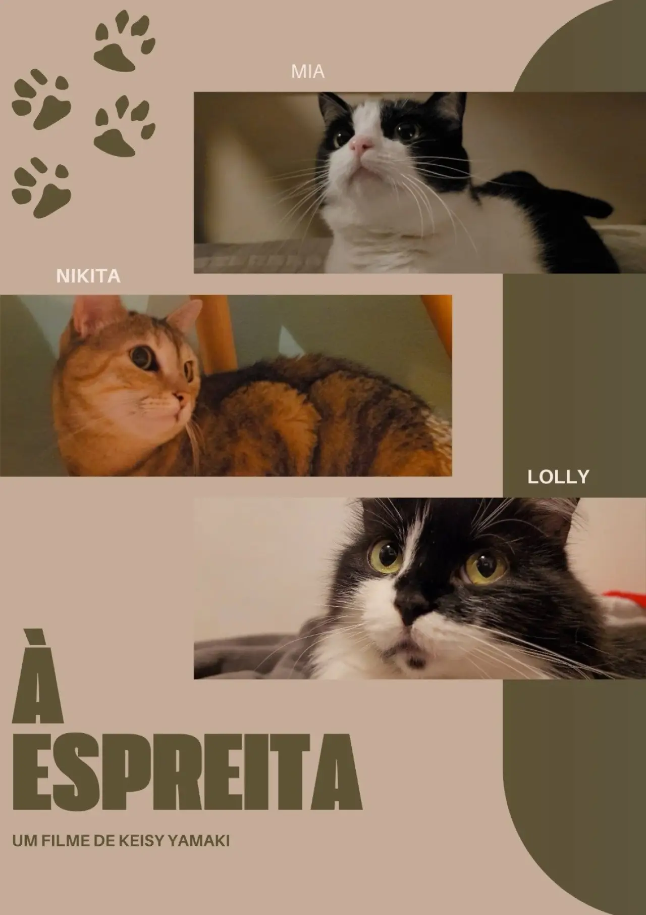 Постер до фільму "À Espreita"