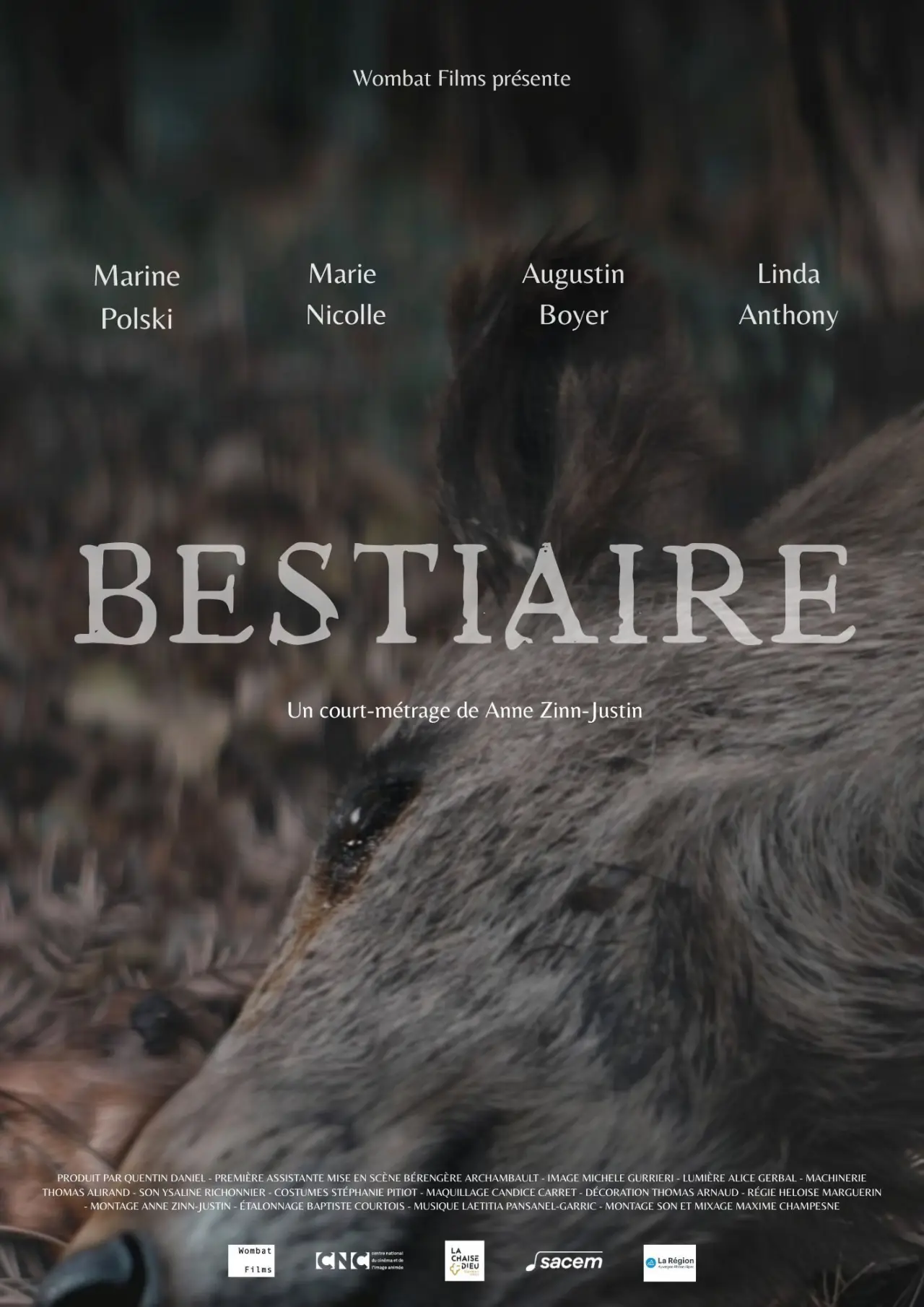 Постер до фільму "Bestiaire"