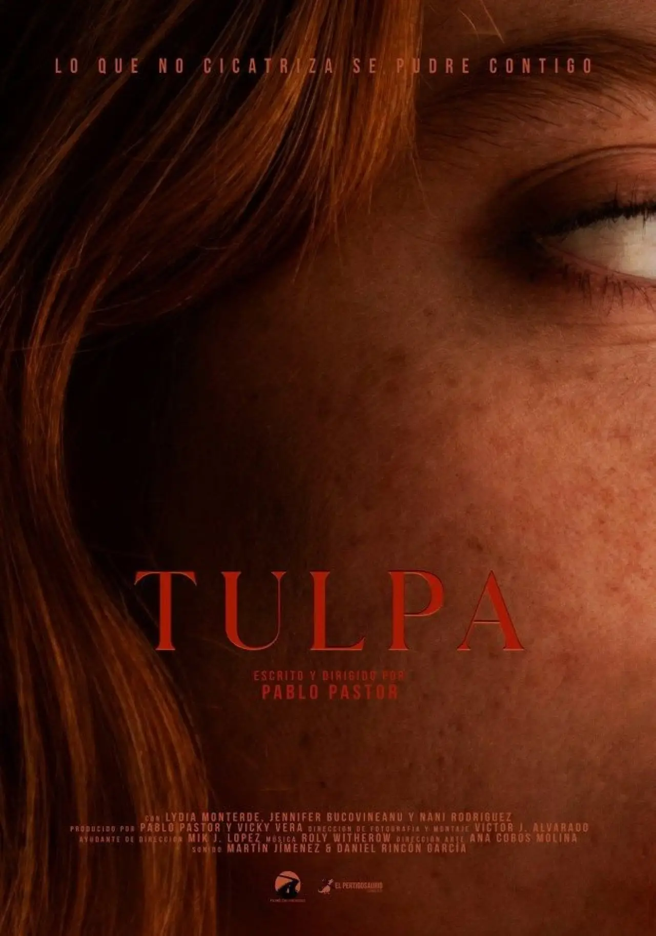 Постер до фільму "Tulpa"