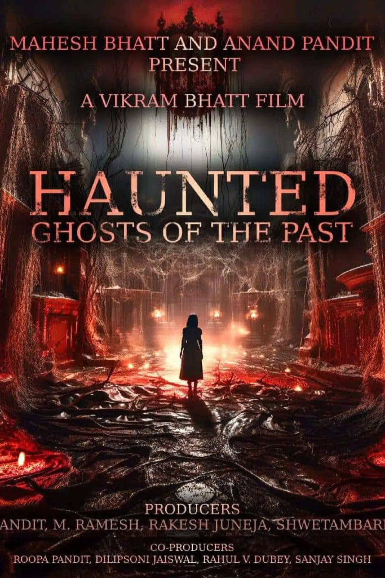 Постер до фільму "Haunted 3D: Echoes of the Past"