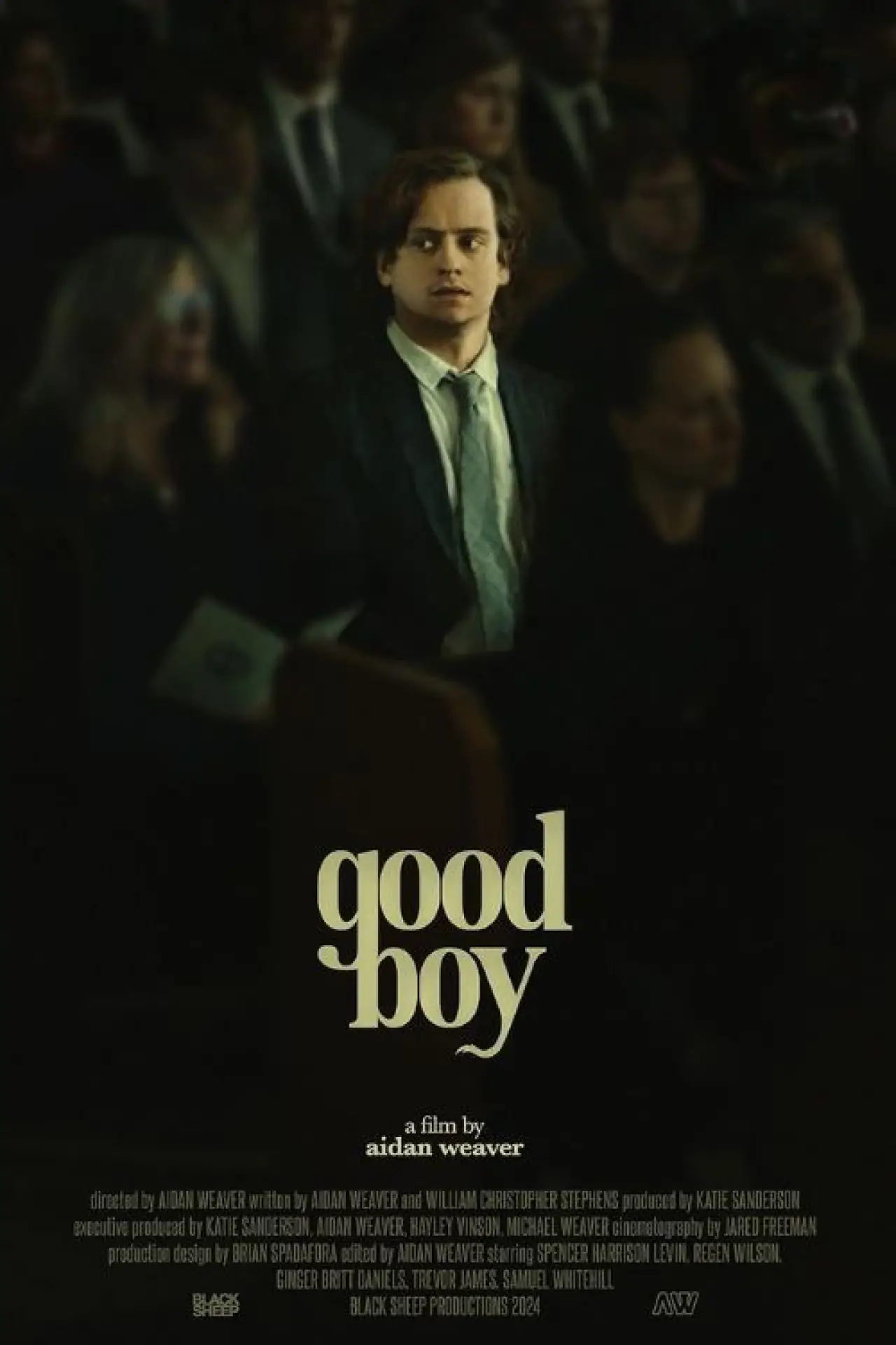 Постер до фільму "Good Boy"