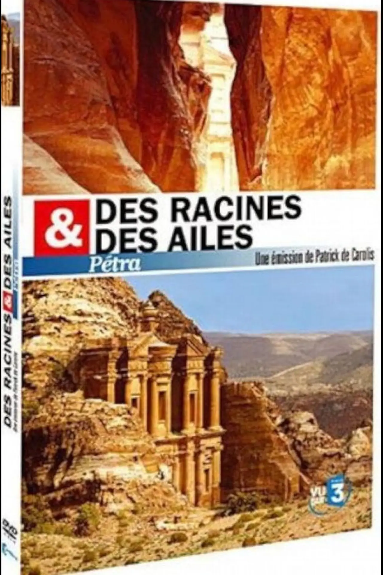 Постер до фільму "Des racines et des ailes Pétra"