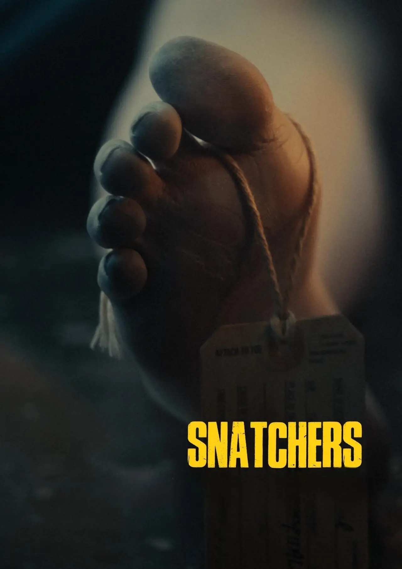 Постер до фільму "Snatchers"