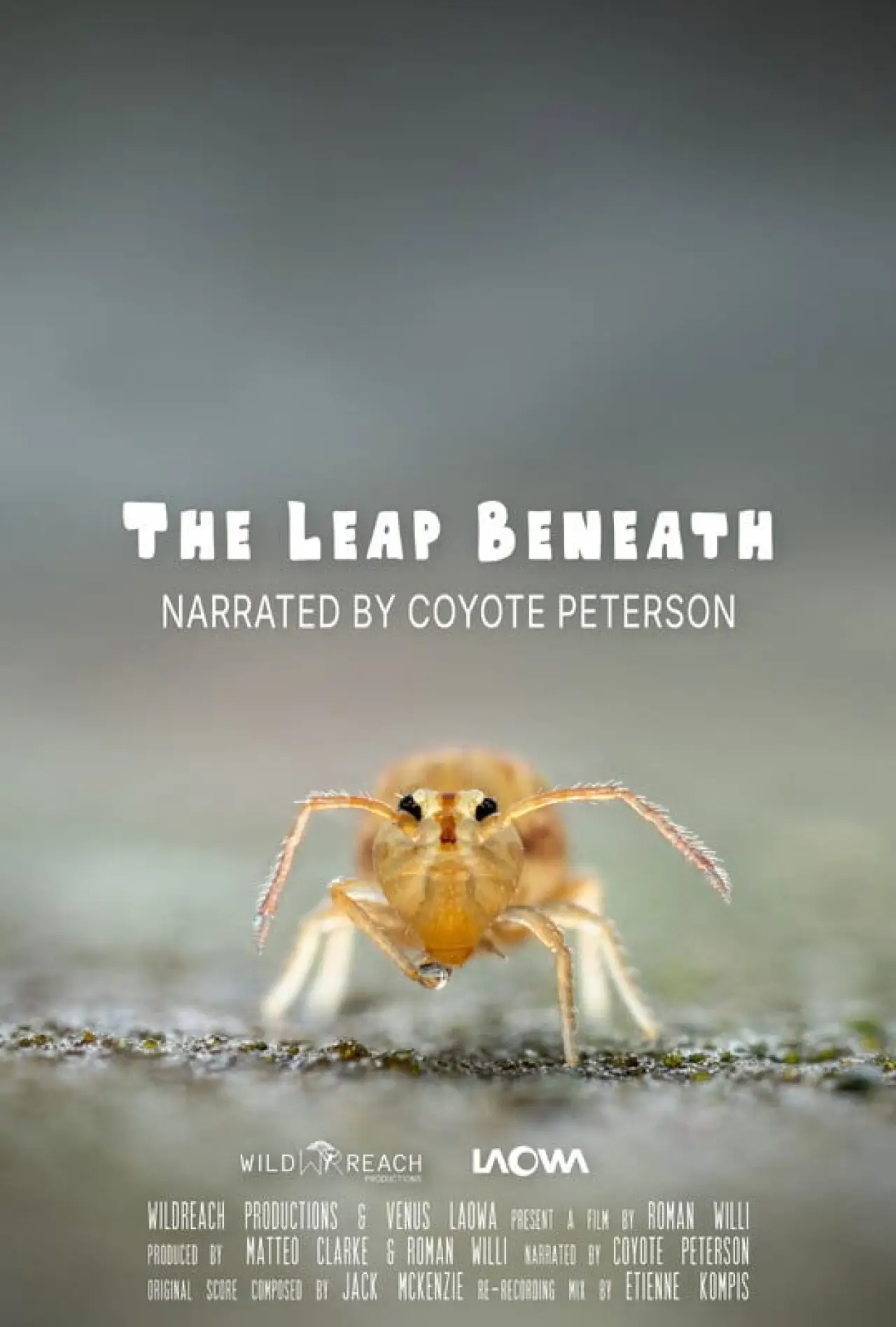 Постер до фільму "The Leap Beneath"