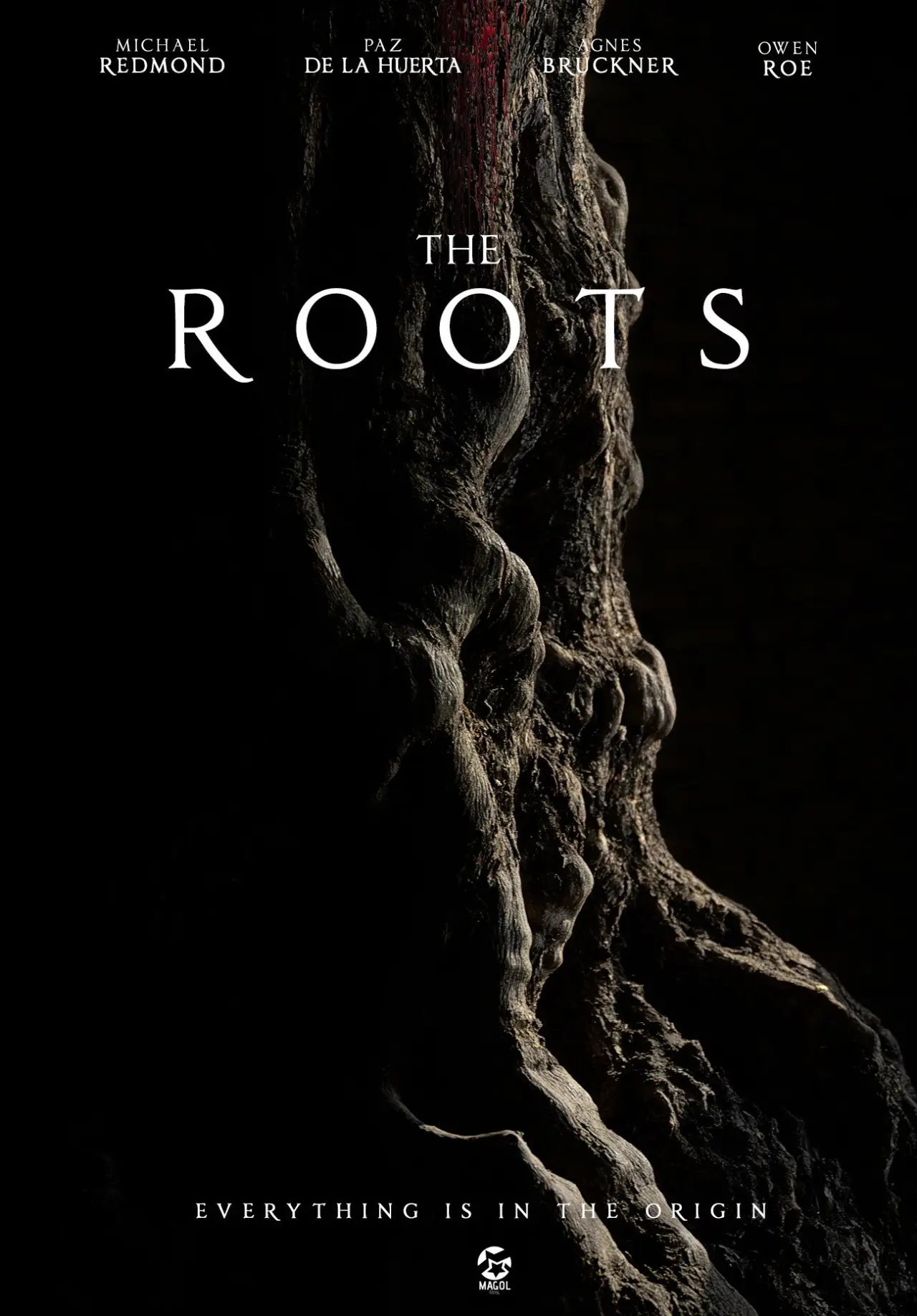 Постер до фільму "The Roots"