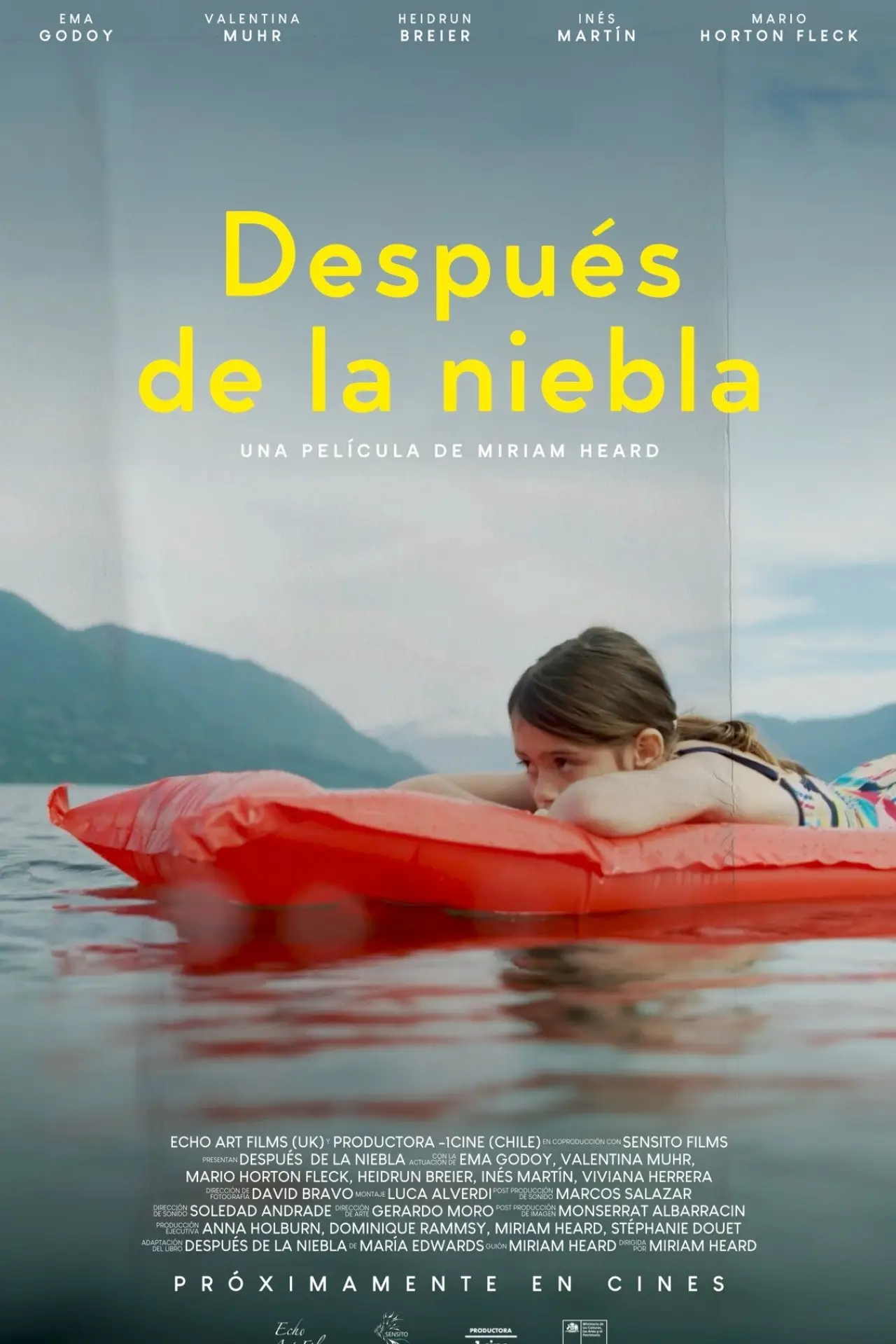Постер до фільму "Después de la niebla"