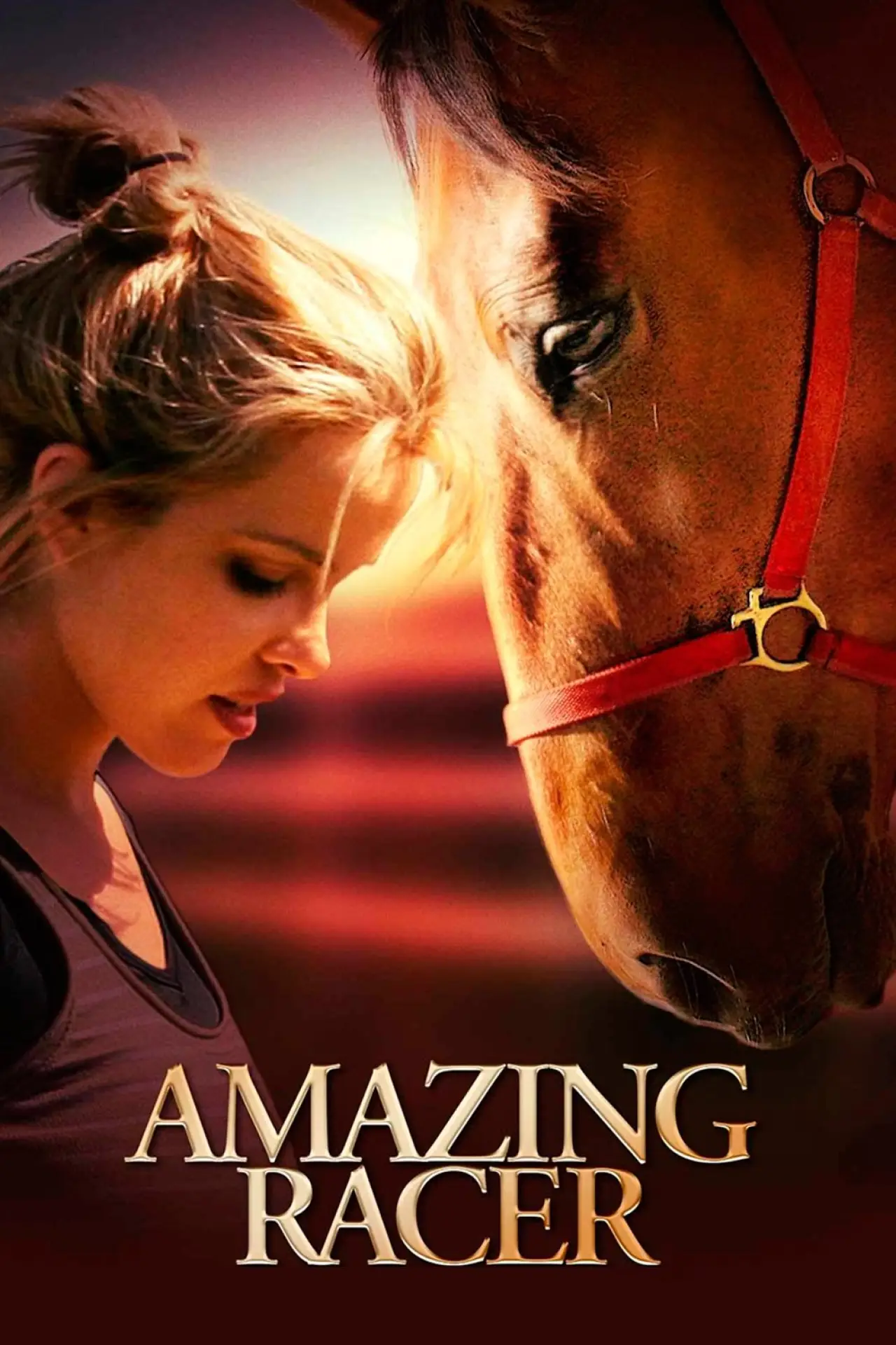 Постер до фільму "Amazing Racer"