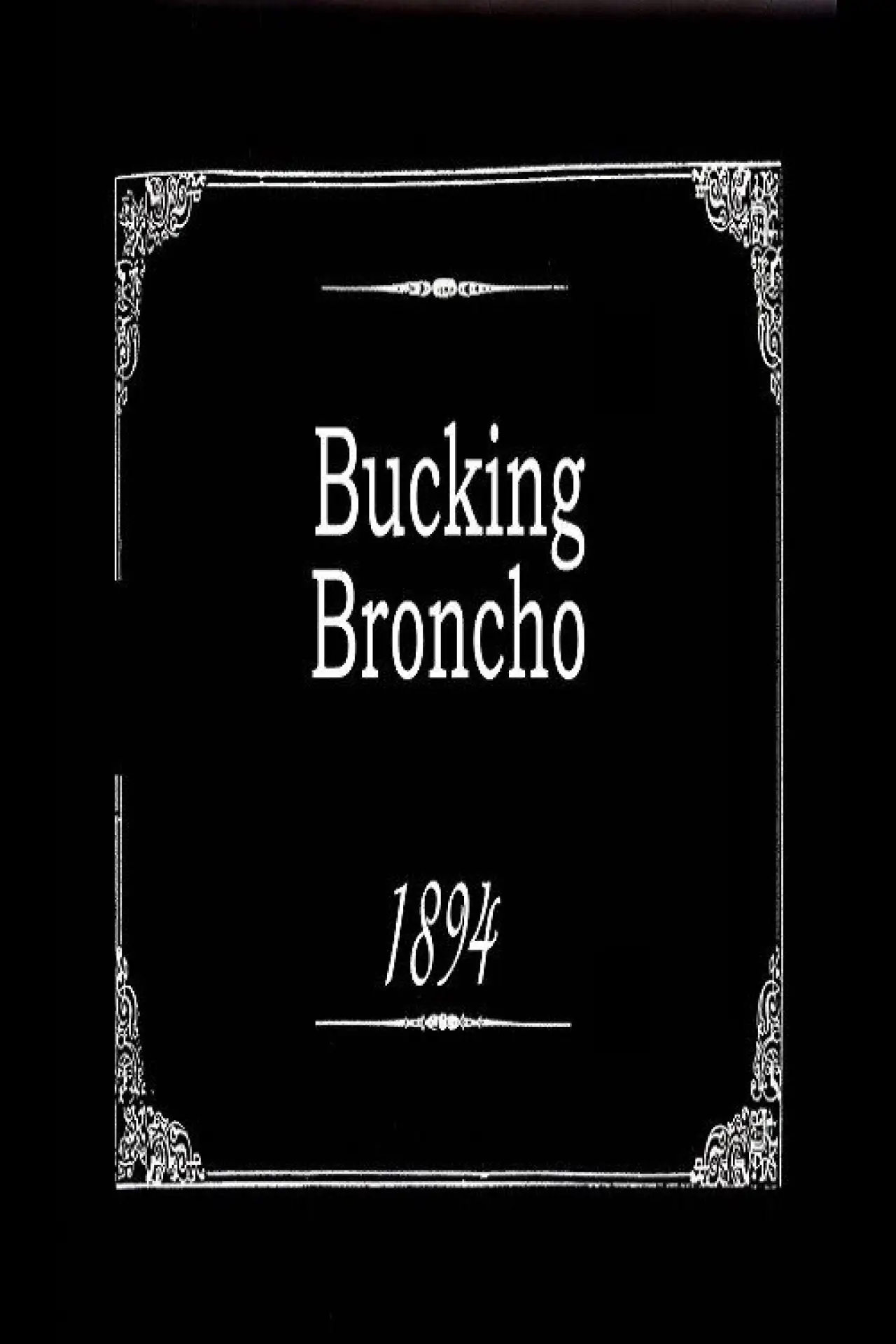 Постер до фільму "Bucking Broncho"