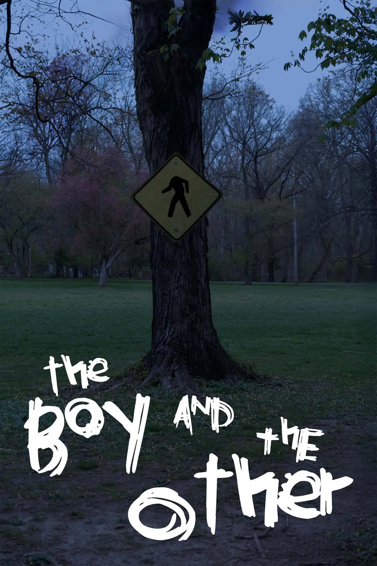 Постер до фільму "The Boy and The Other"