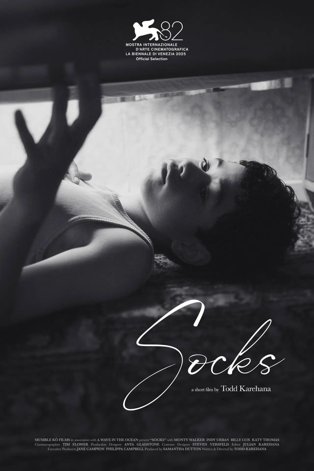 Постер до фільму "Socks"