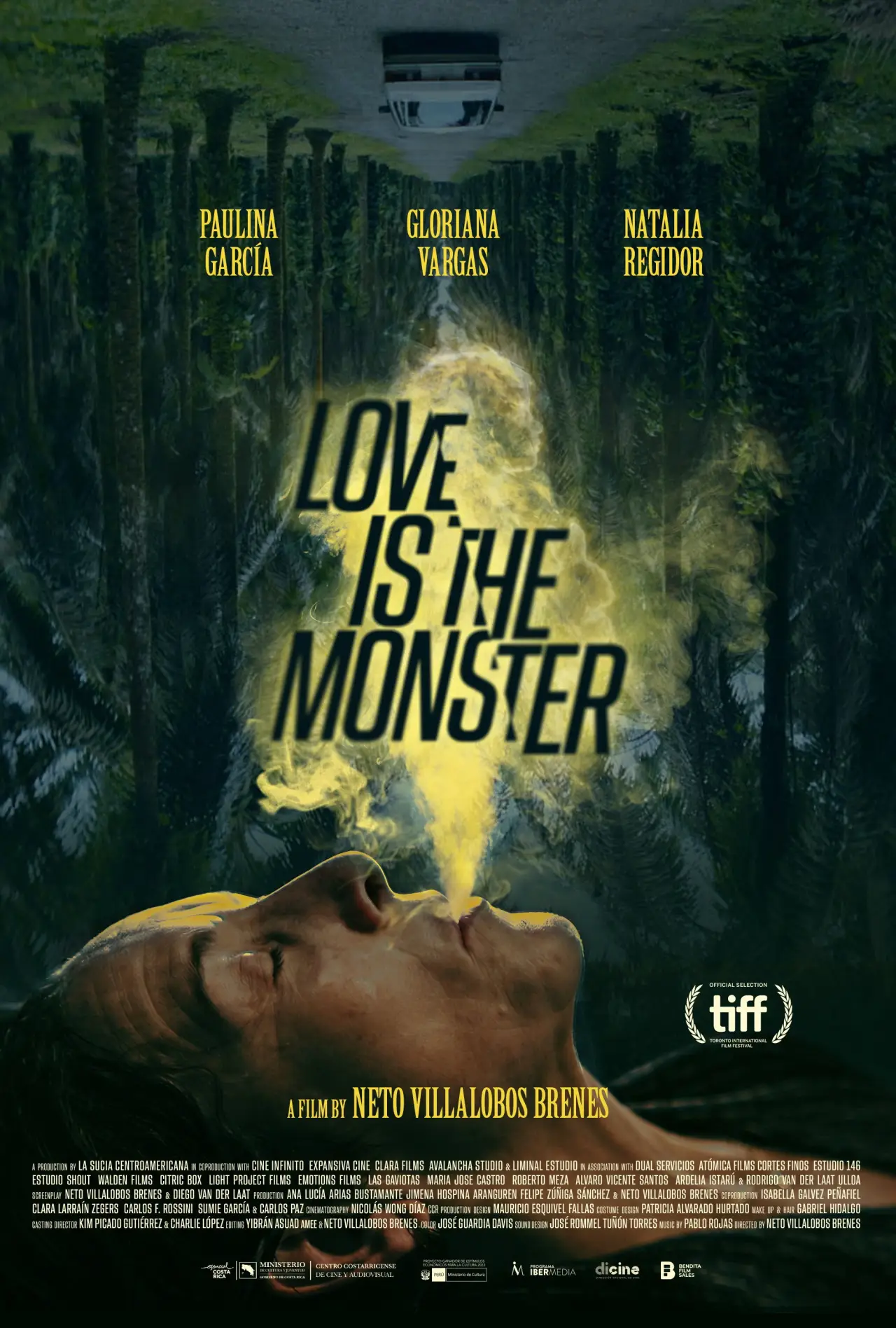 Постер до фільму "Amor es el monstruo"